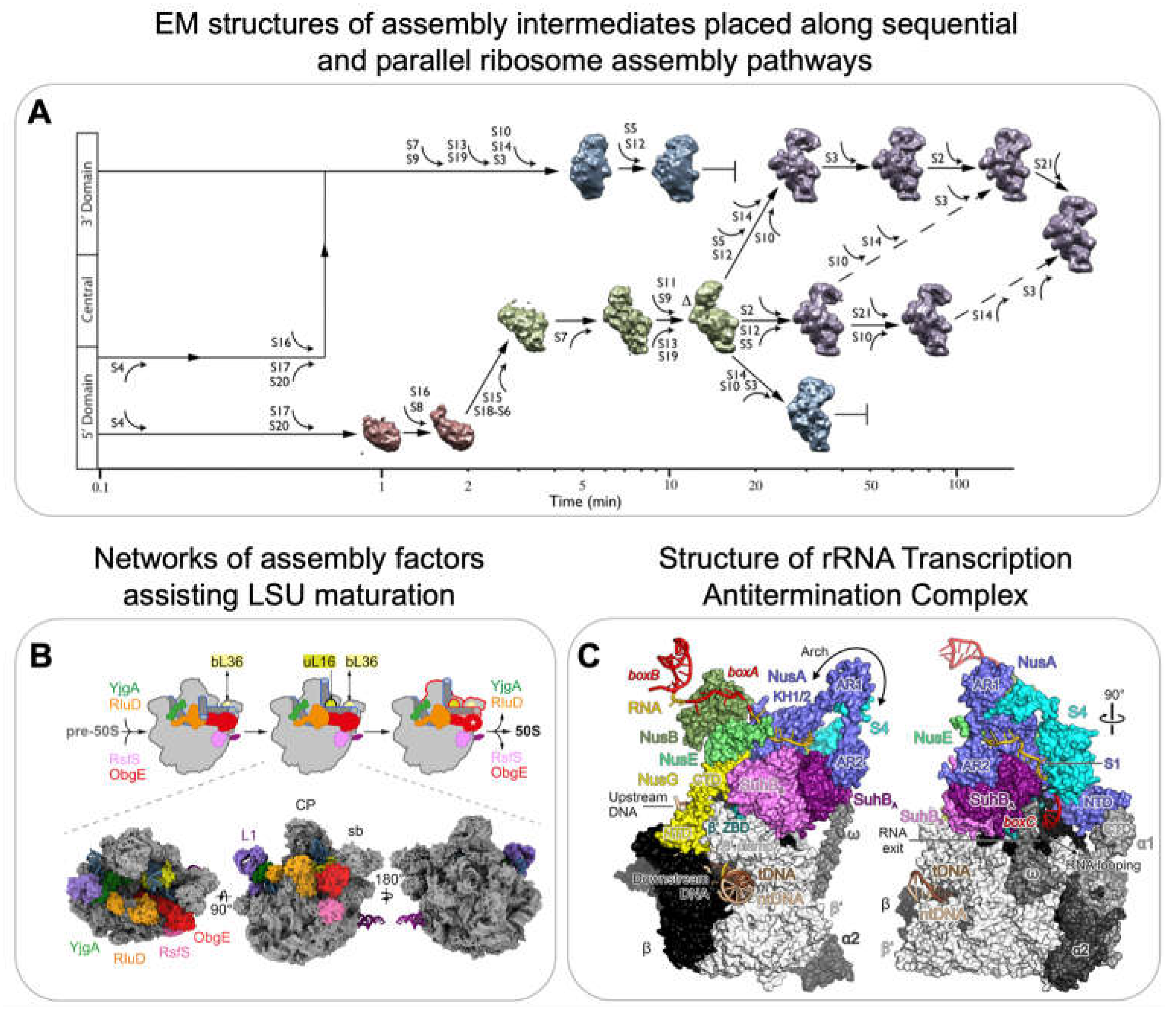 Preprints 72888 g004