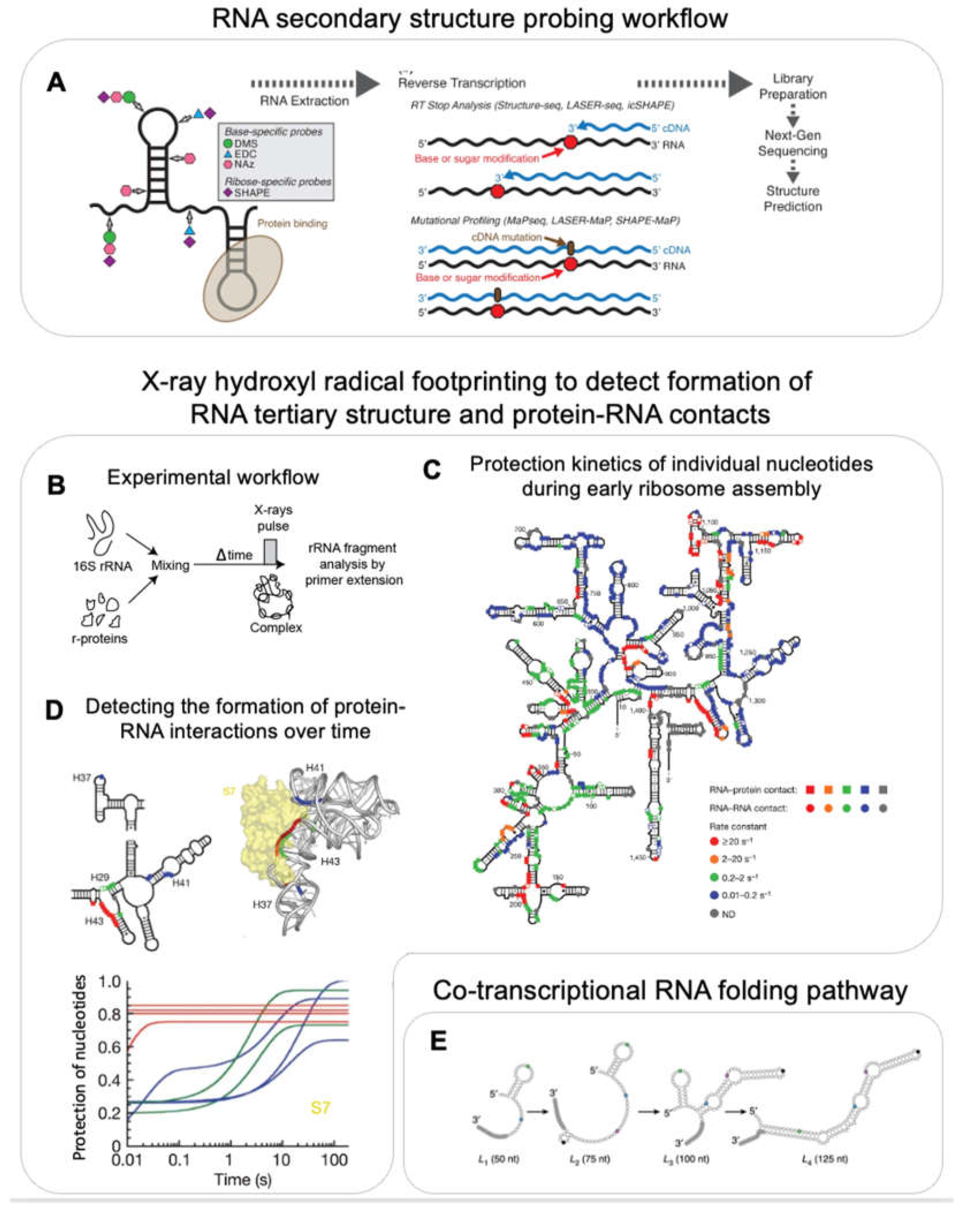 Preprints 72888 g005