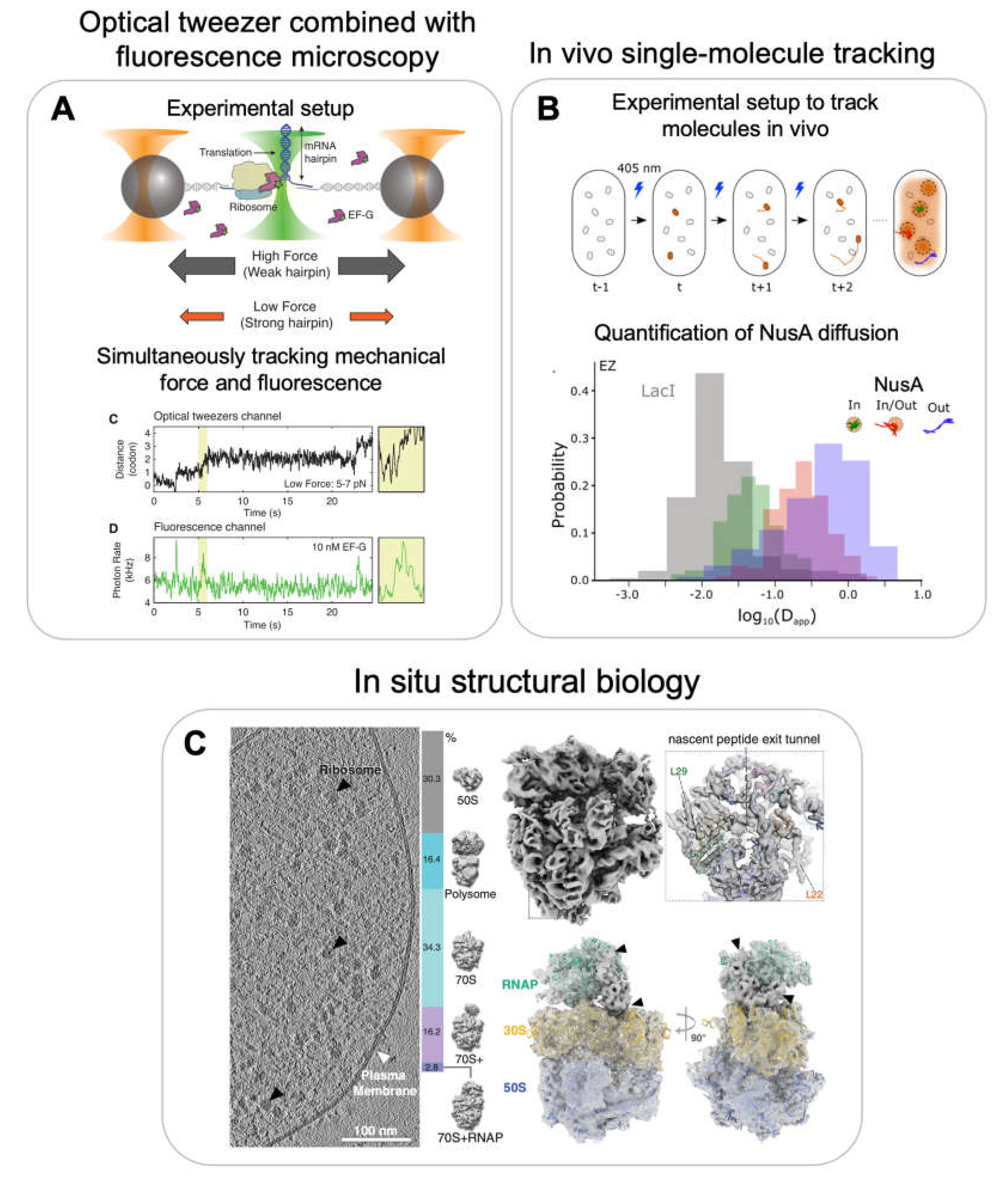 Preprints 72888 g007