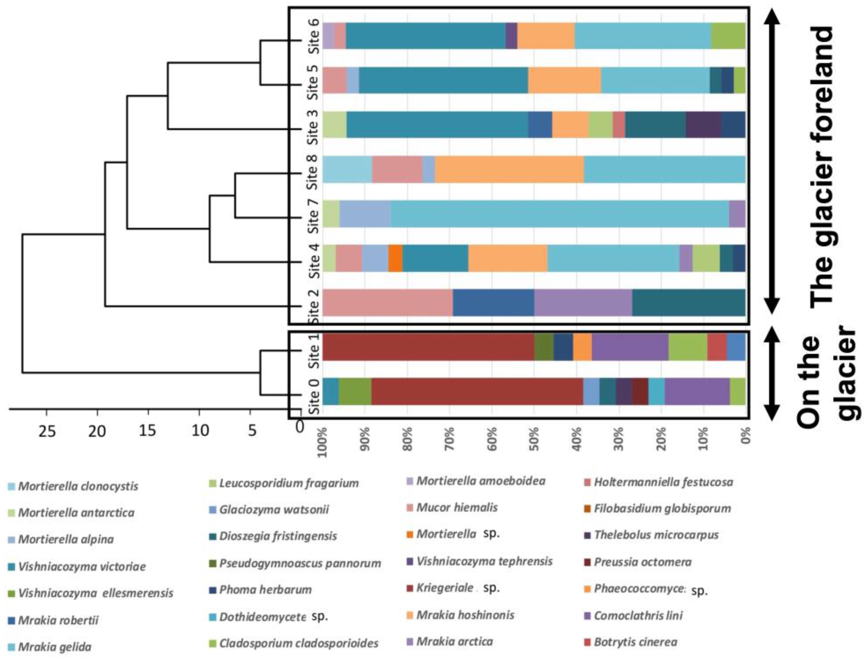 Preprints 79586 g006