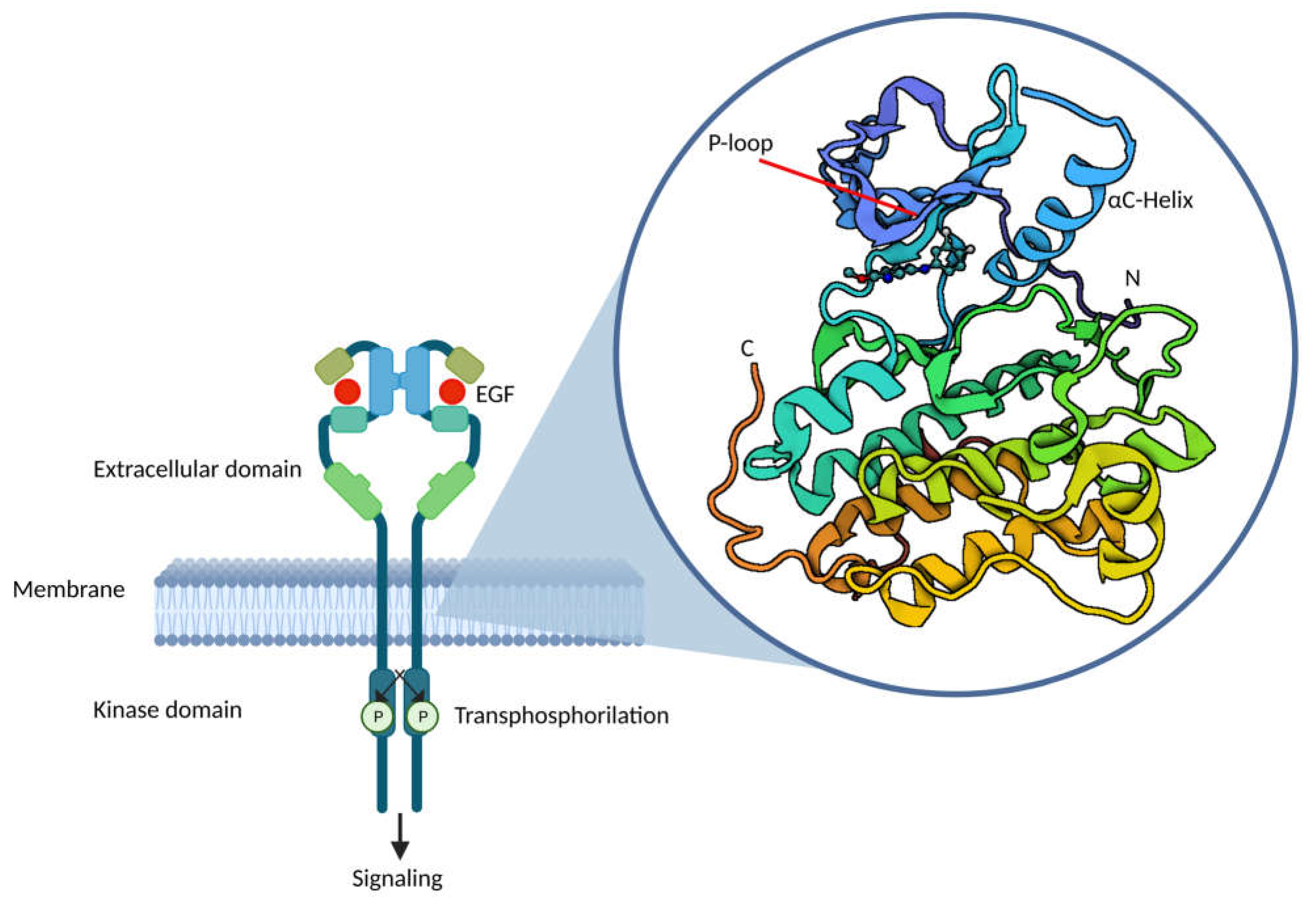 Preprints 72473 g001