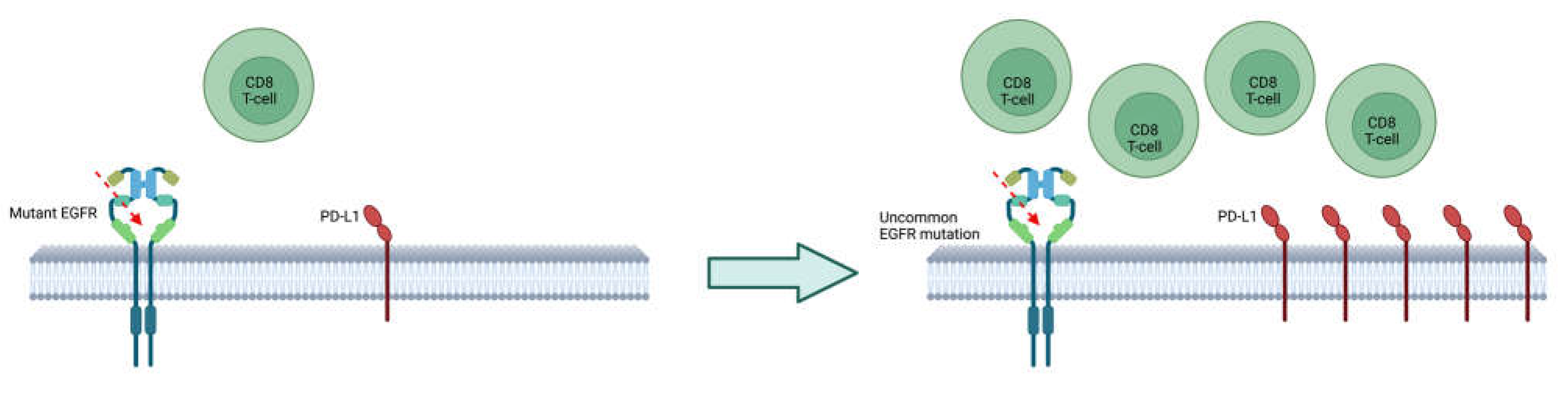 Preprints 72473 g002