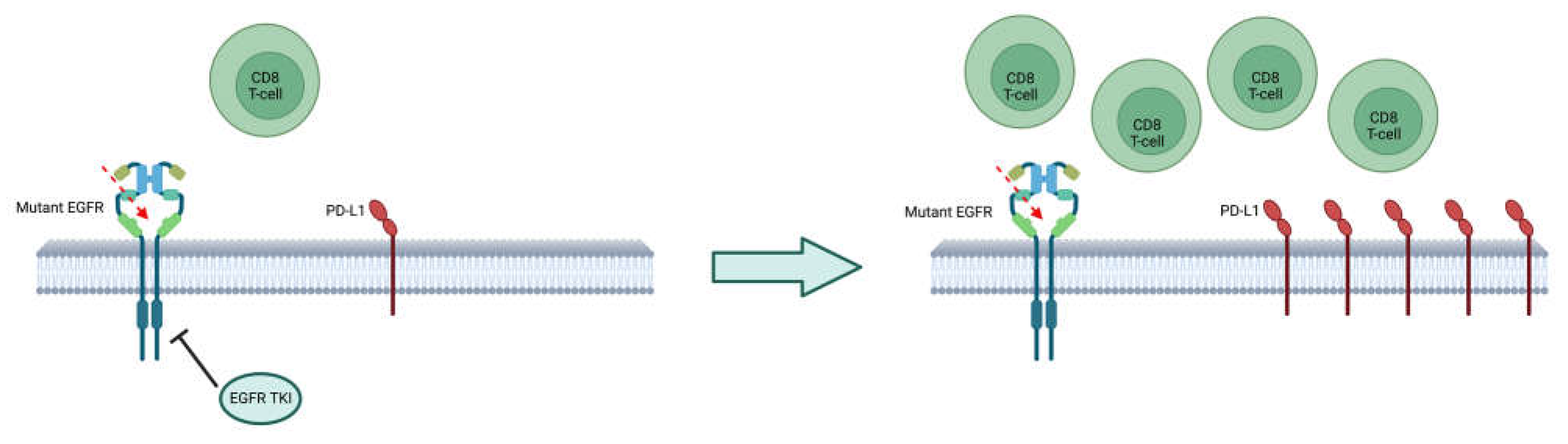 Preprints 72473 g003