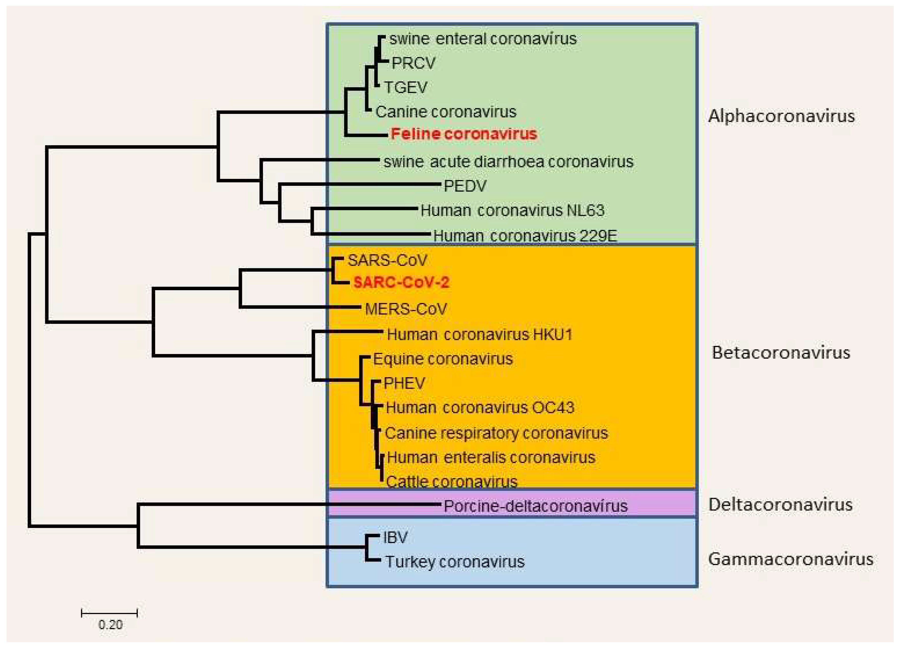 Preprints 89946 g001