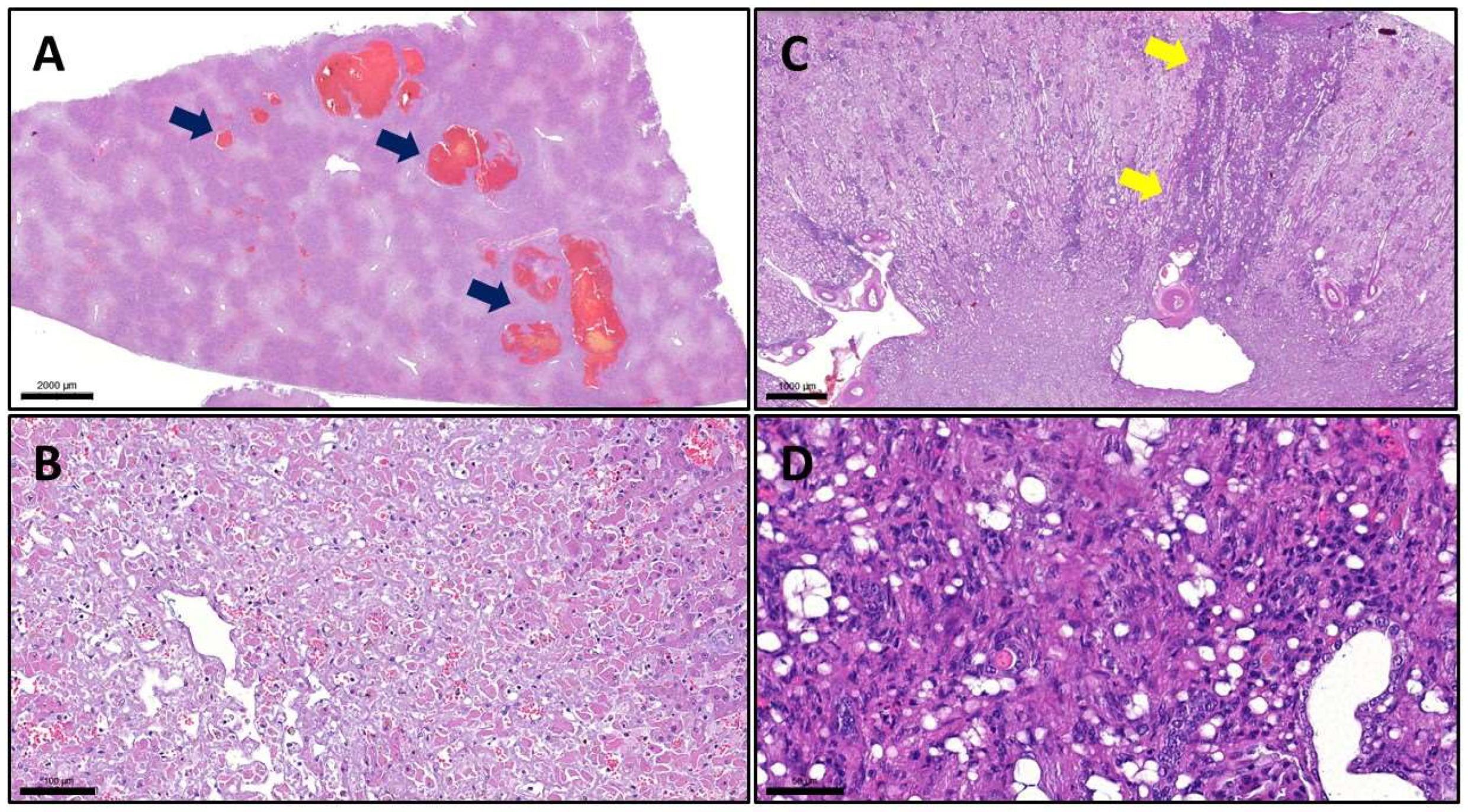 Preprints 89946 g003