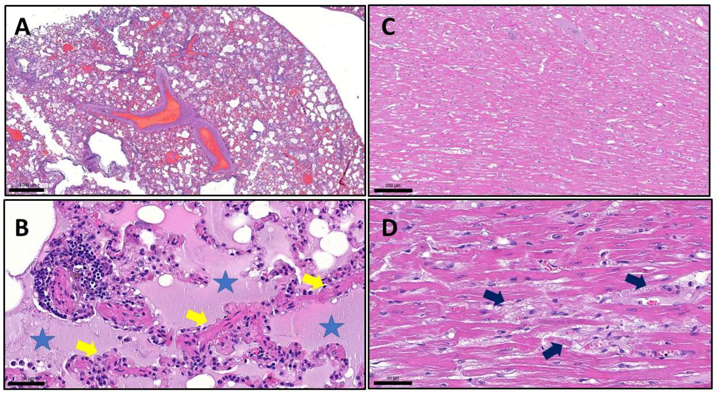 Preprints 89946 g004