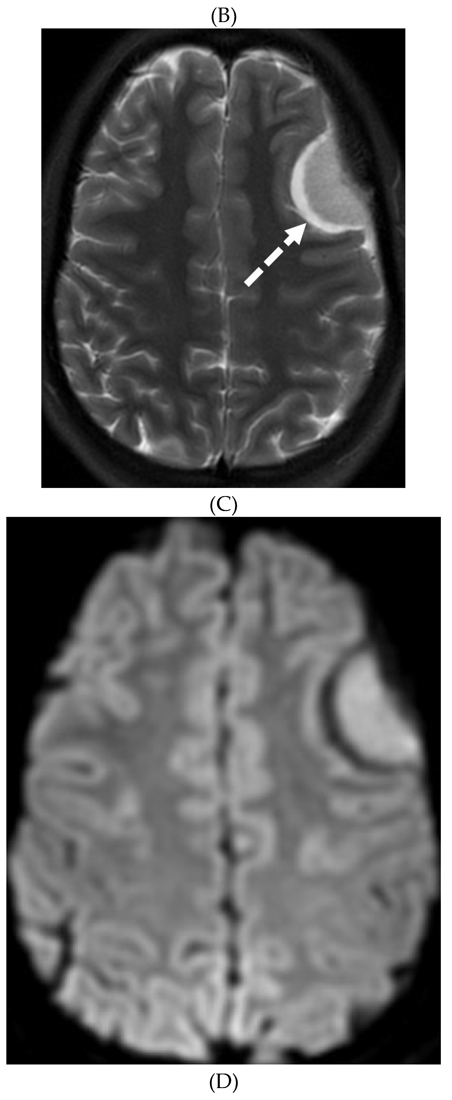 Preprints 118739 g005b