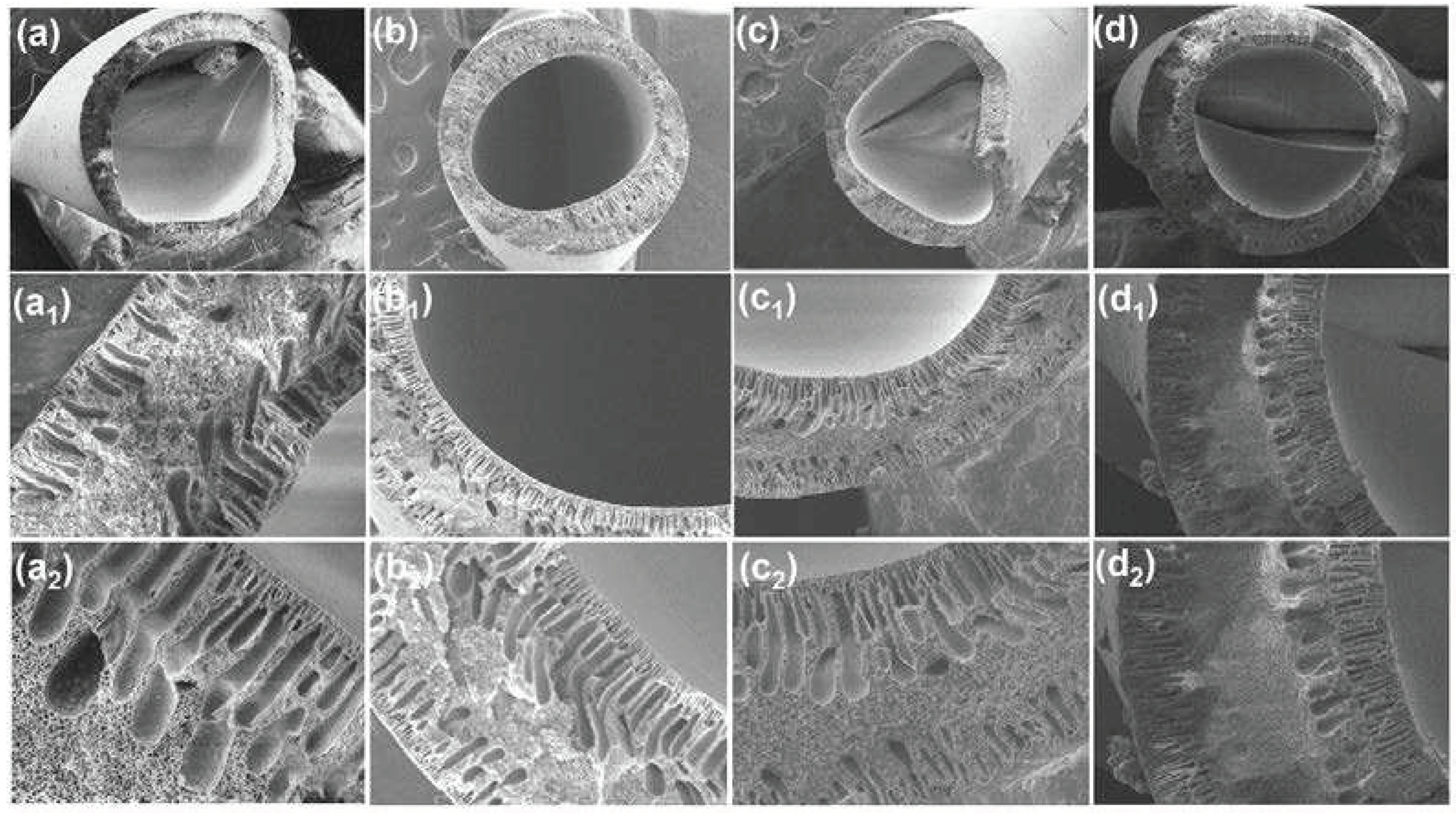 Preprints 77110 g004