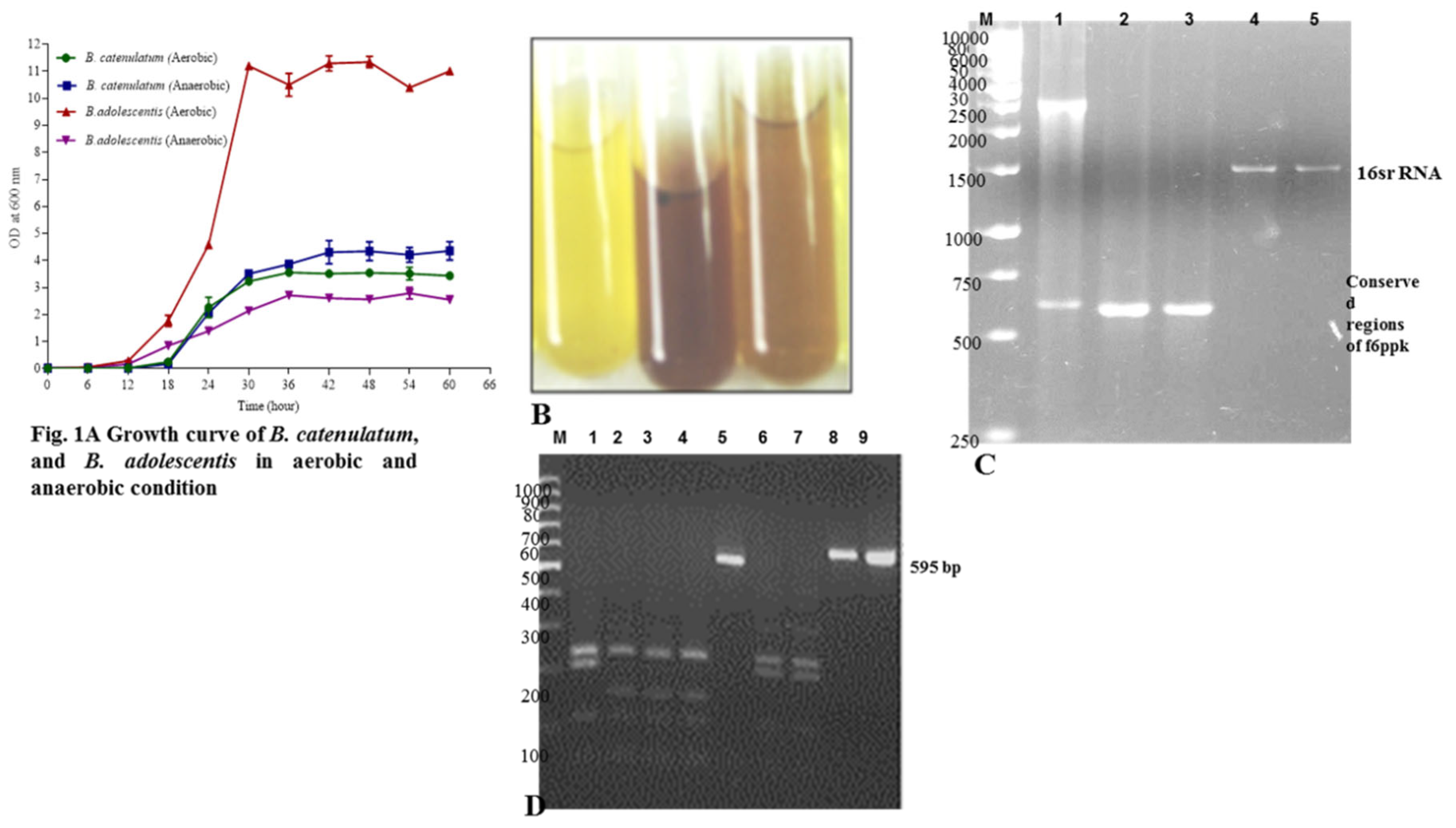 Preprints 67742 g001