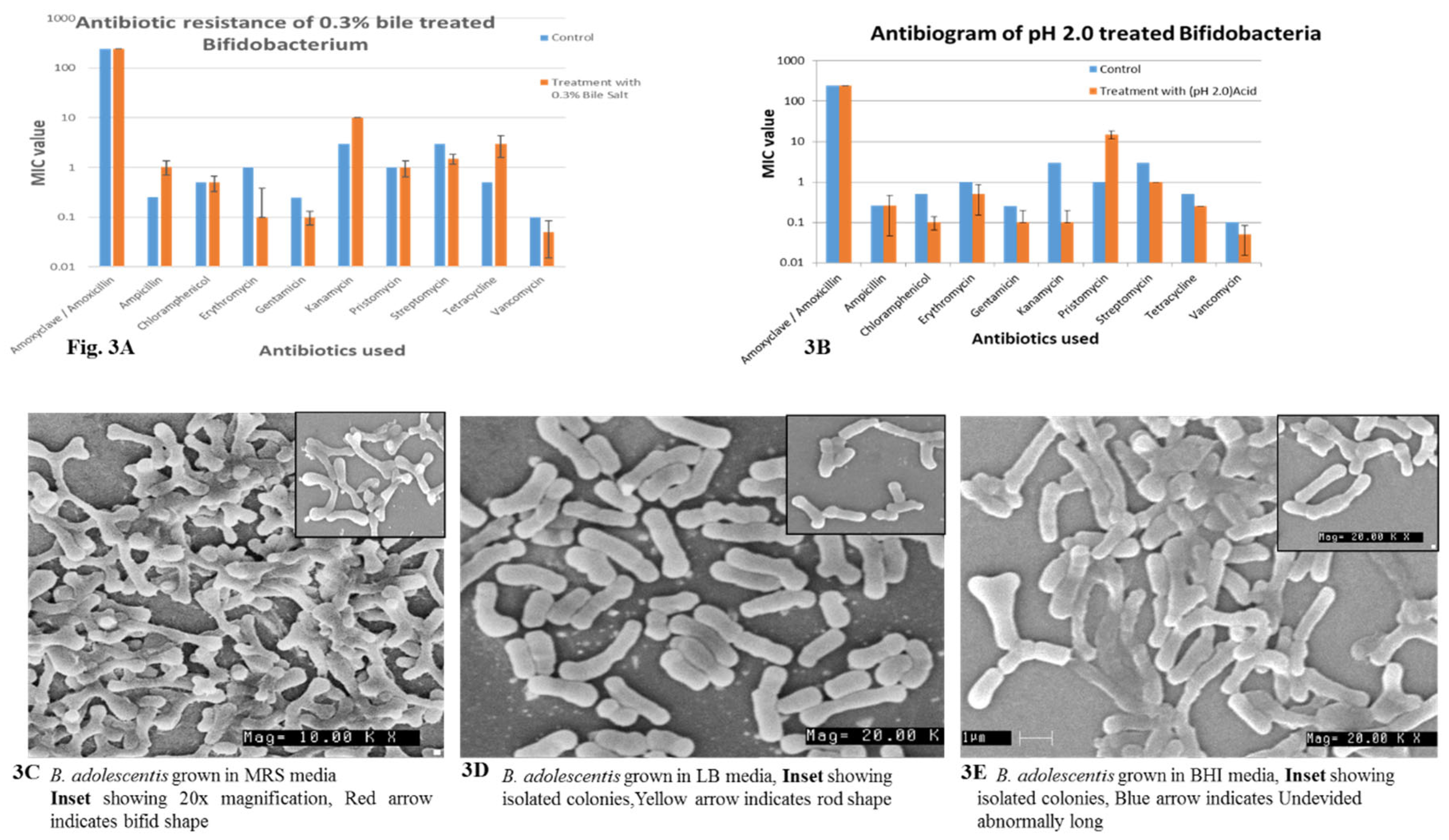 Preprints 67742 g003