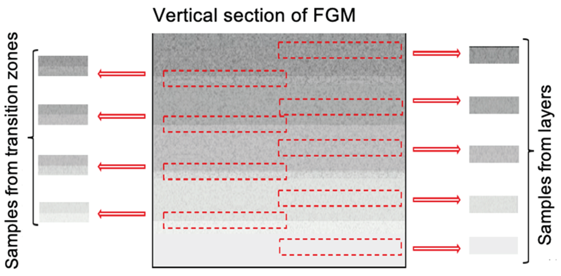 Preprints 100119 g004