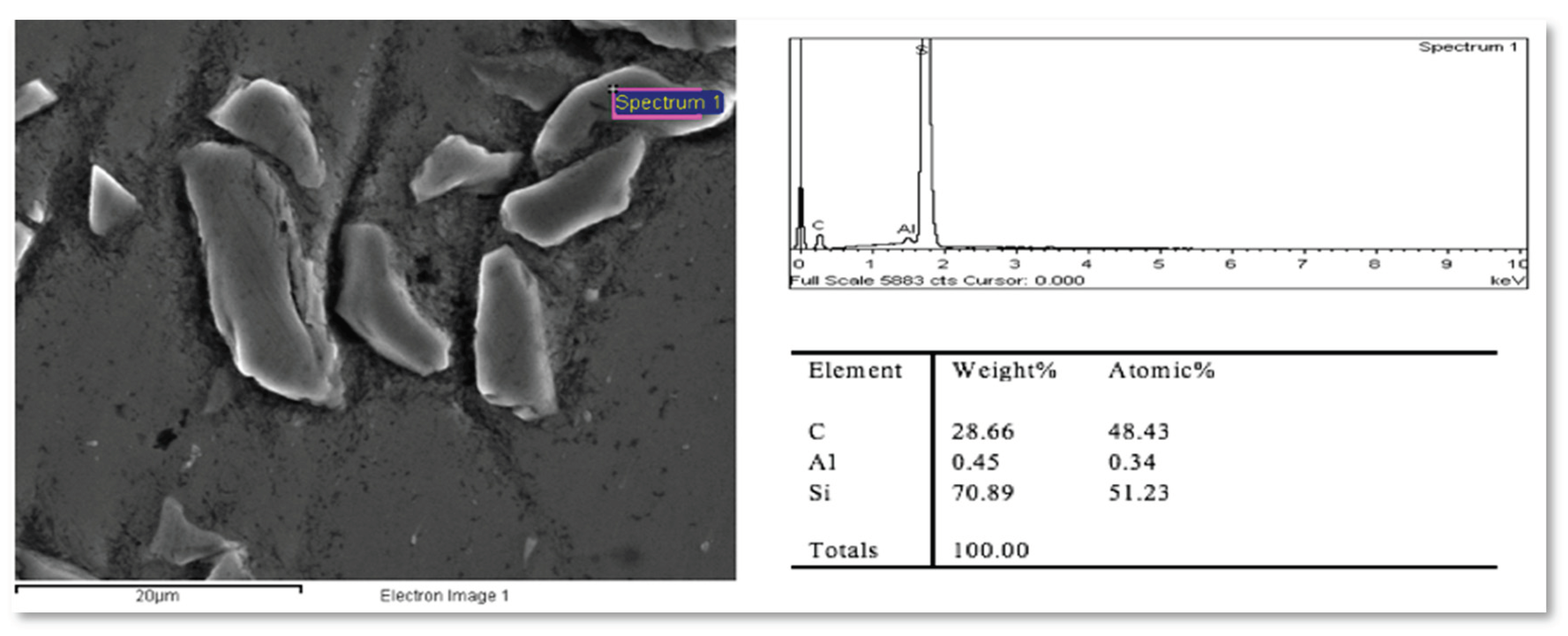 Preprints 100119 g008