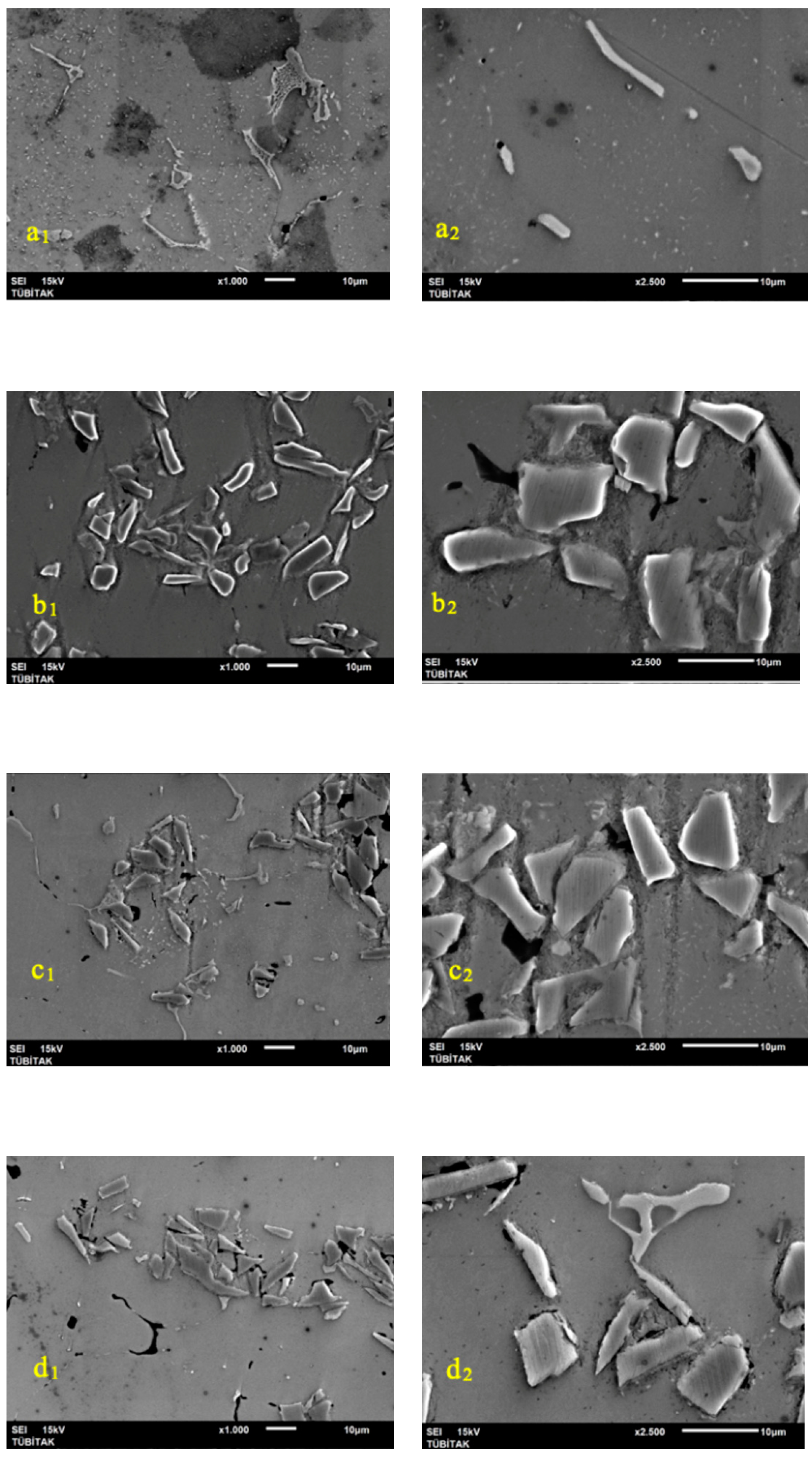 Preprints 100119 g012a