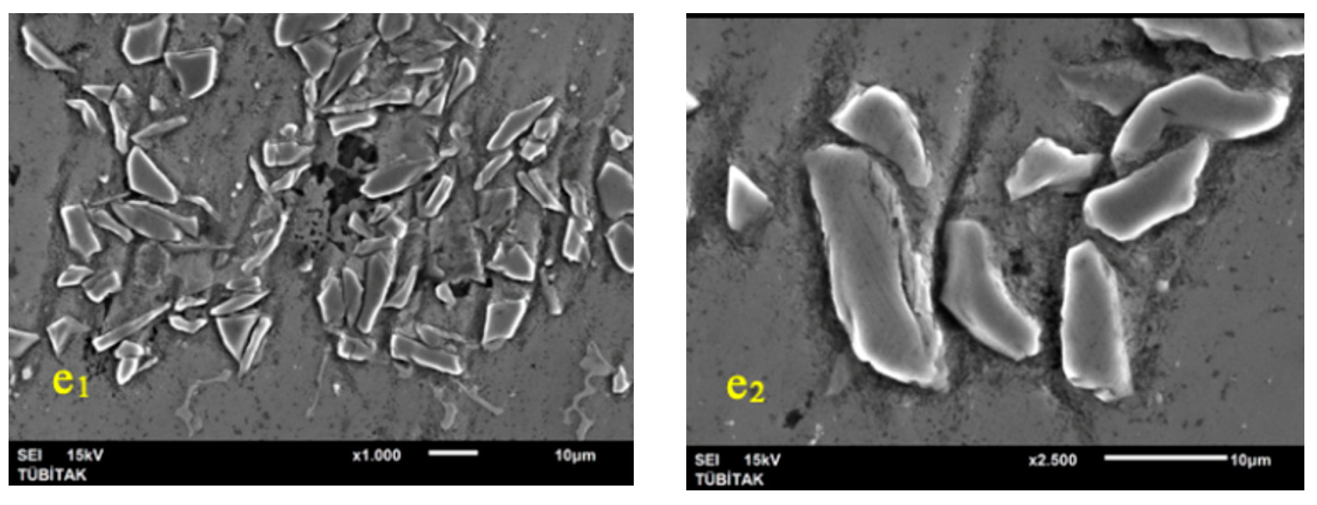 Preprints 100119 g012b