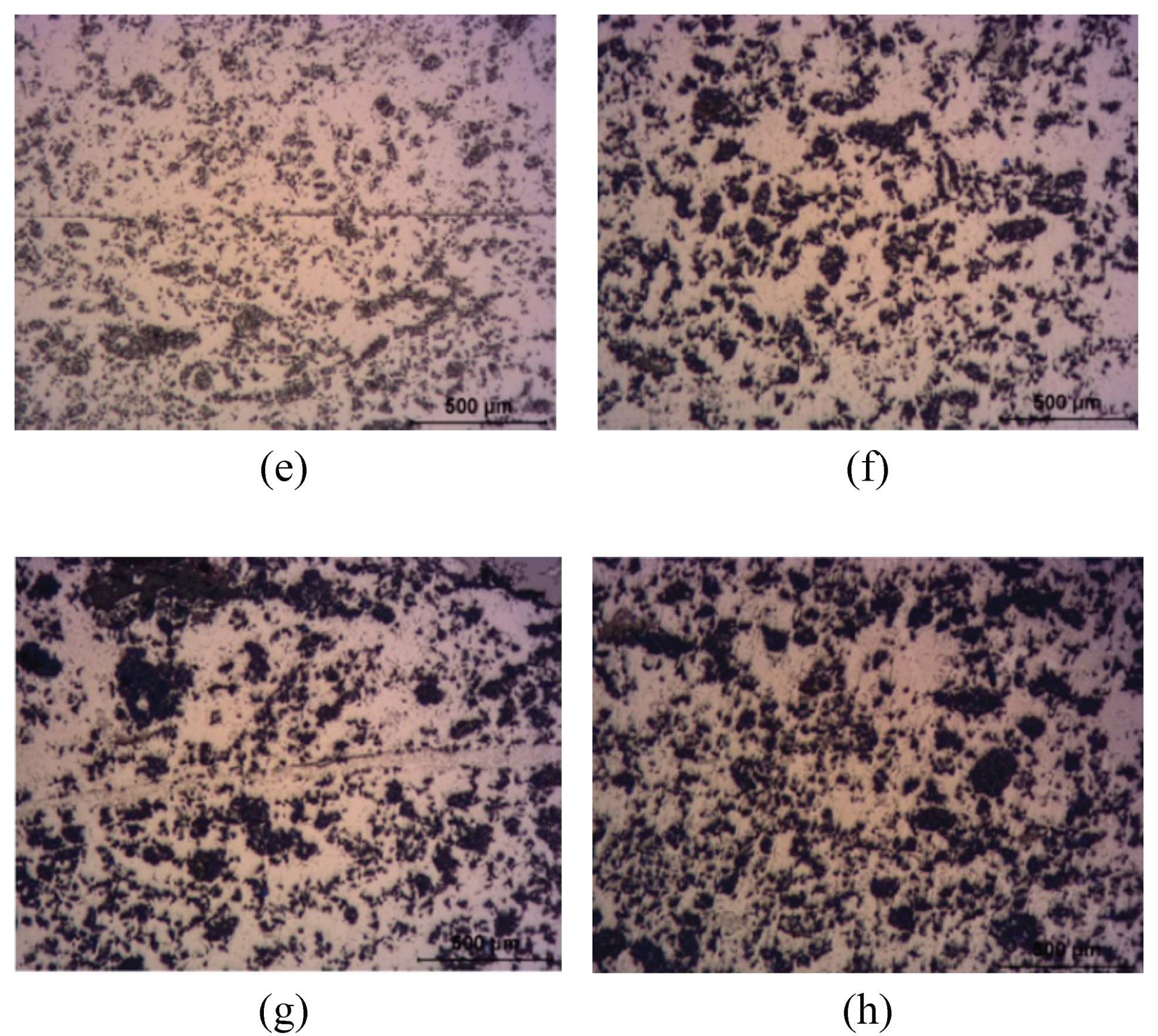 Preprints 100119 g013b