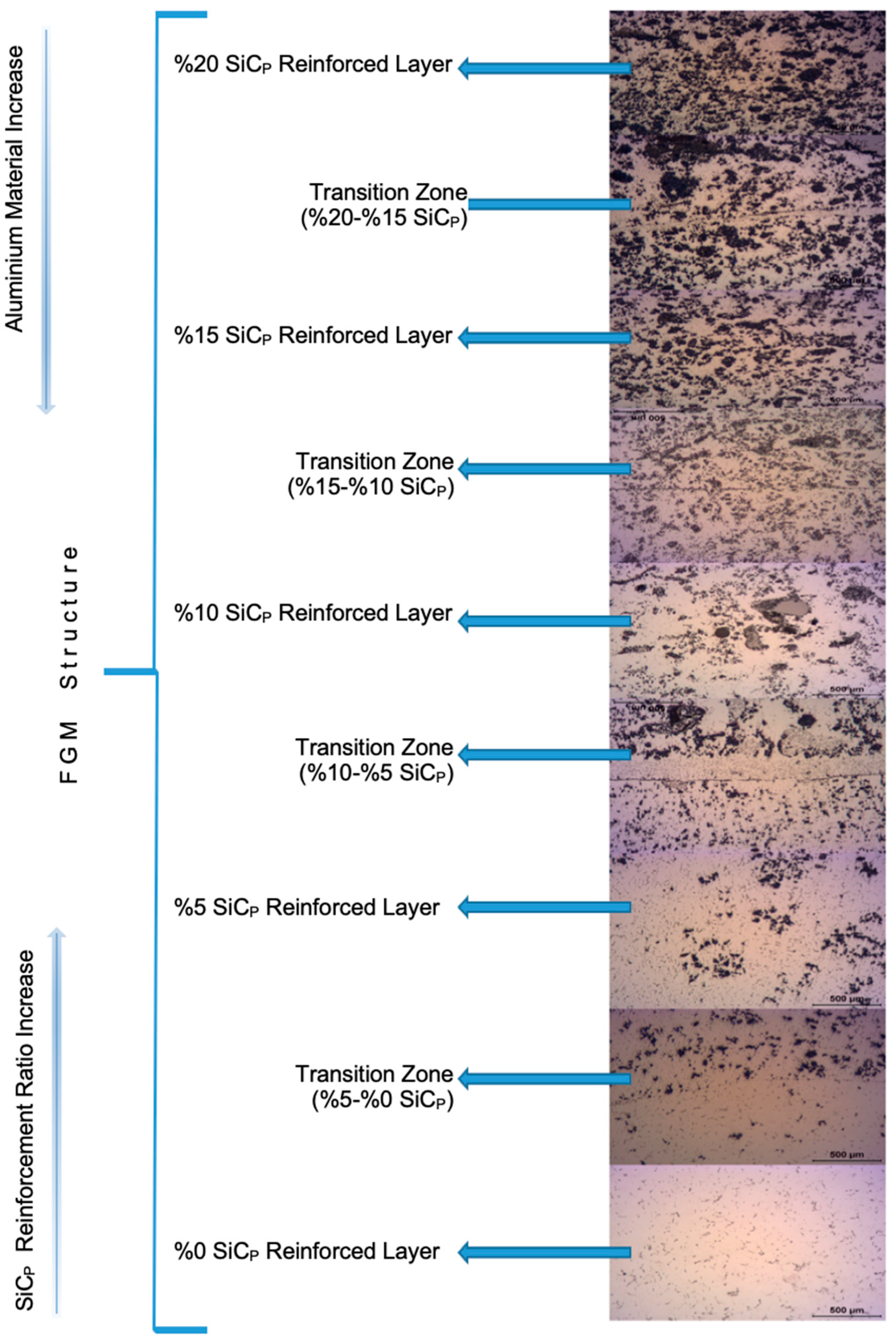 Preprints 100119 g014