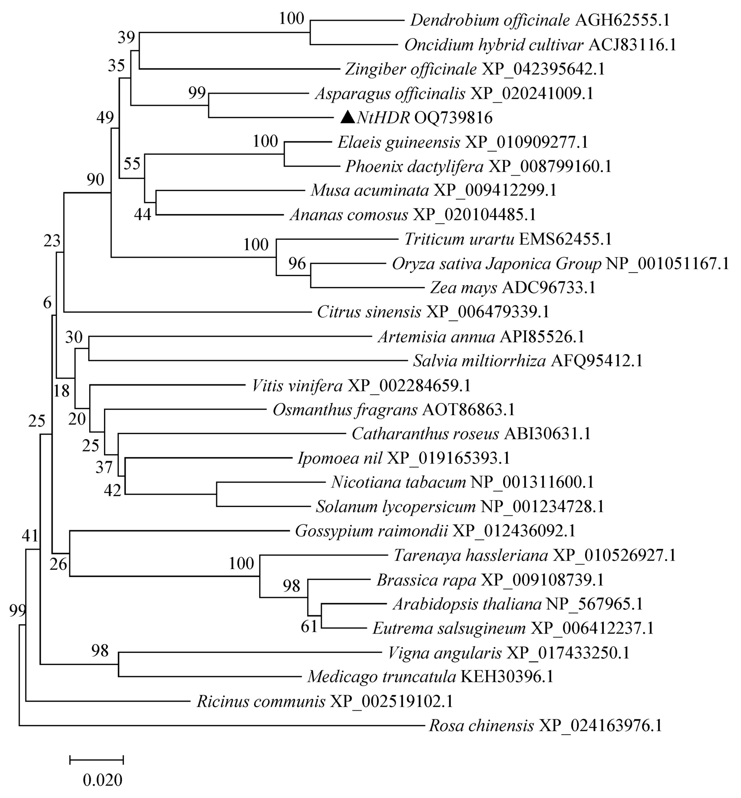 Preprints 79718 g004