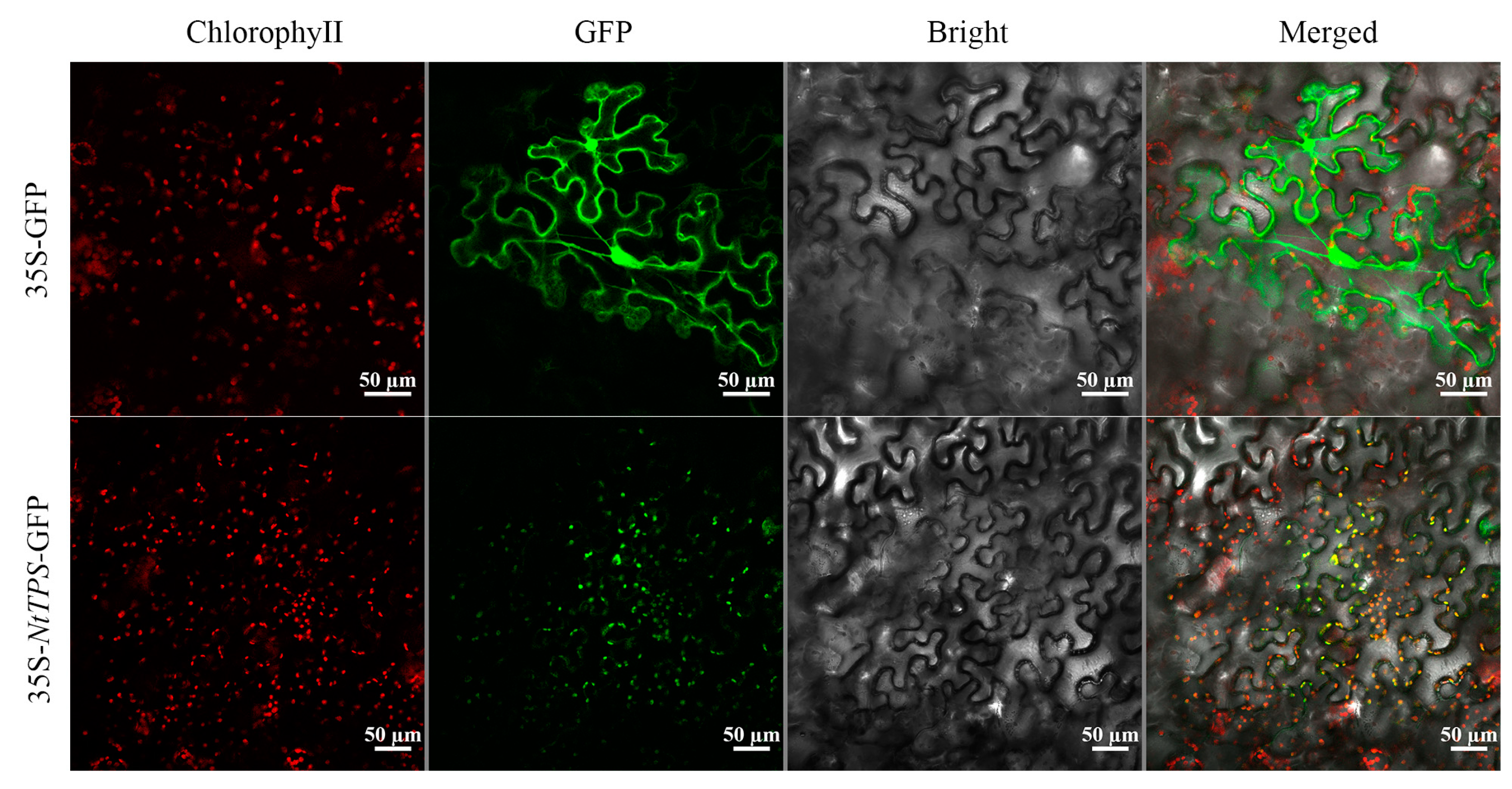 Preprints 79718 g006