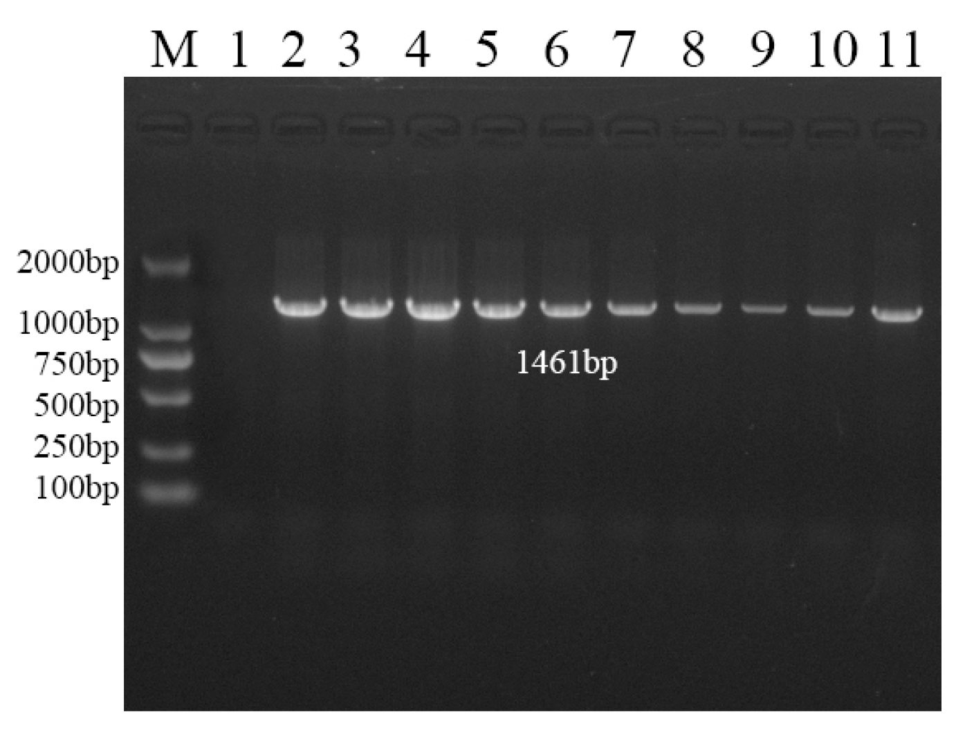 Preprints 79718 g007