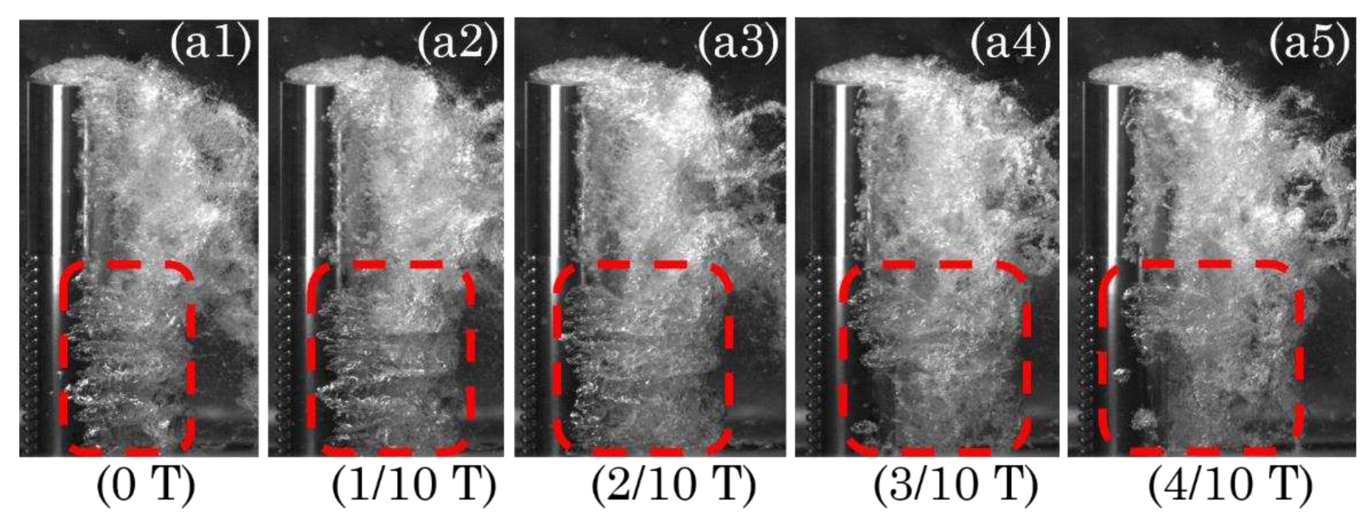 Preprints 95953 g005