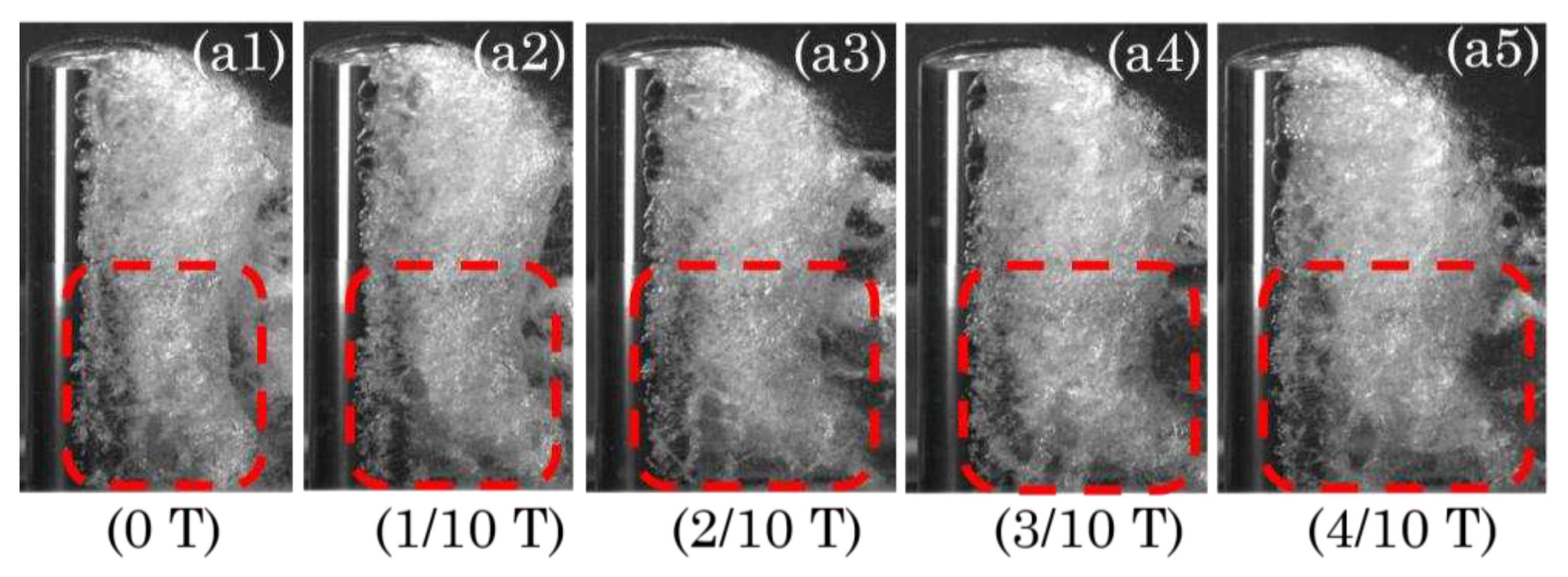 Preprints 95953 g010