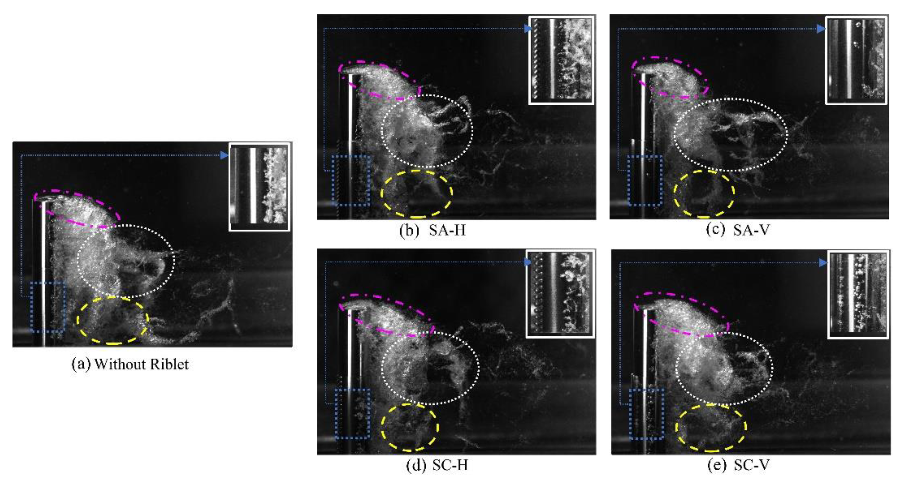 Preprints 95953 g012