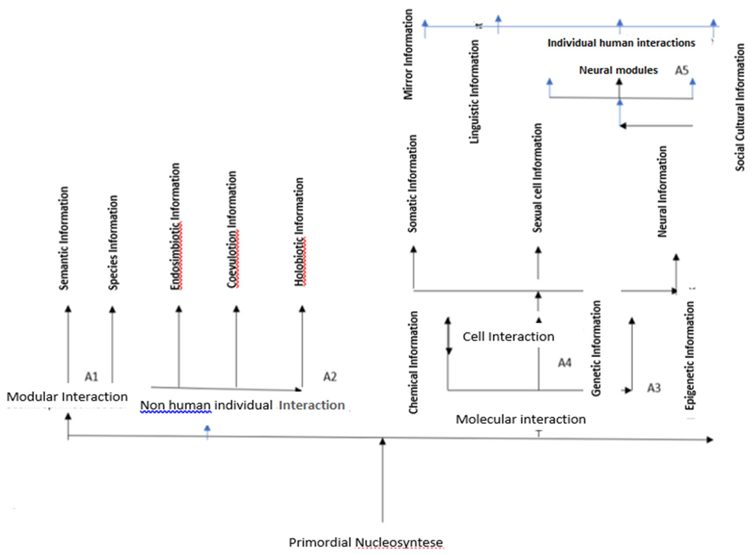 Preprints 110033 g003