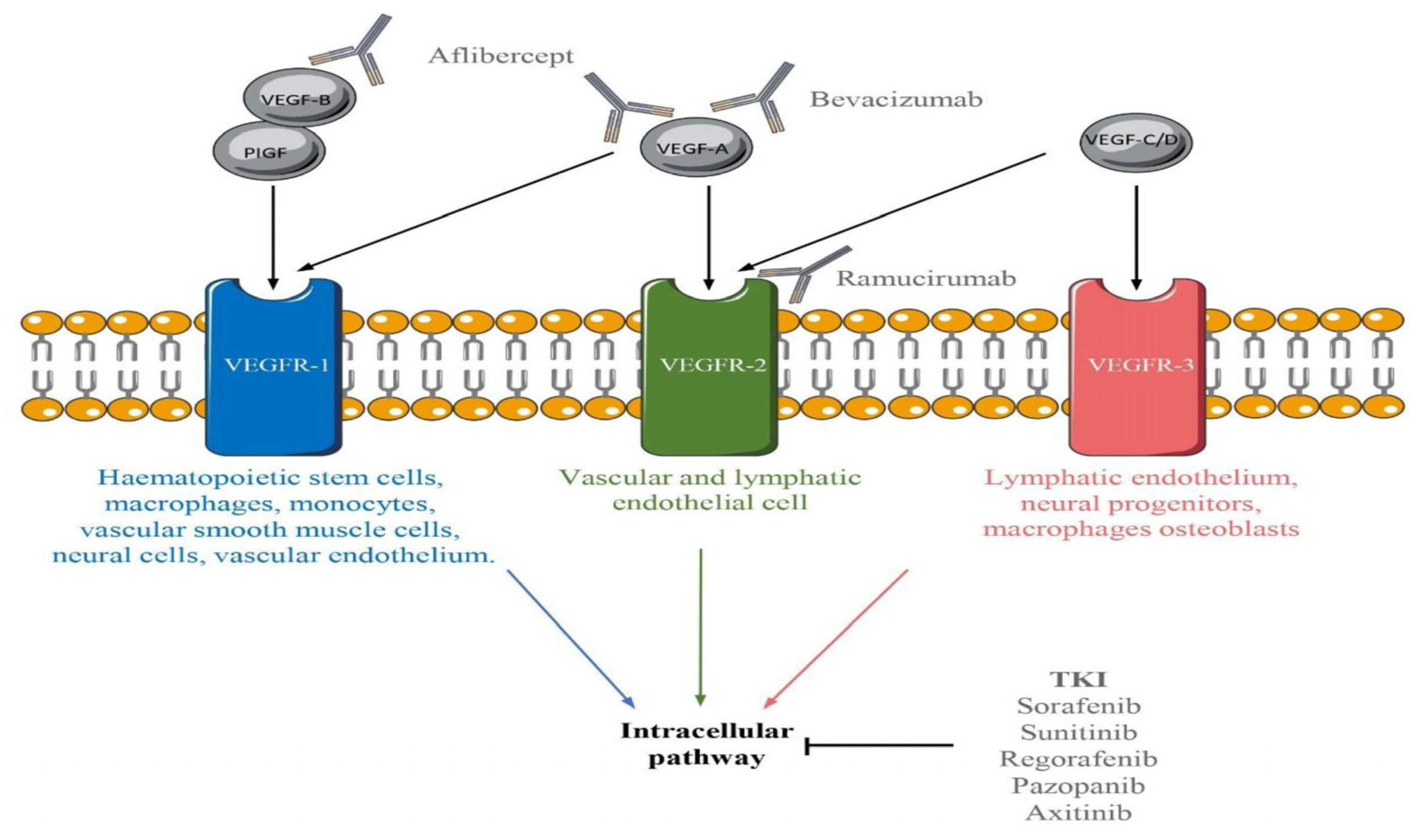 Preprints 77552 g002