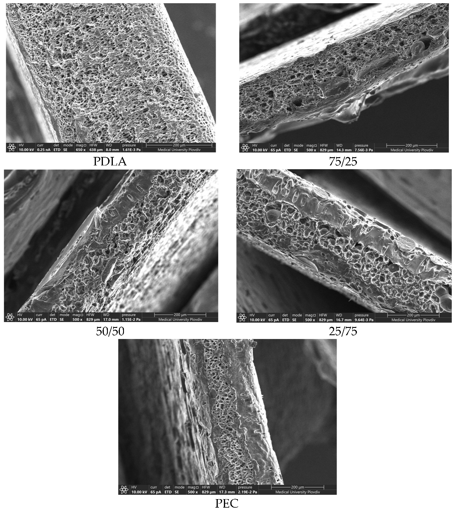 Preprints 93702 g003