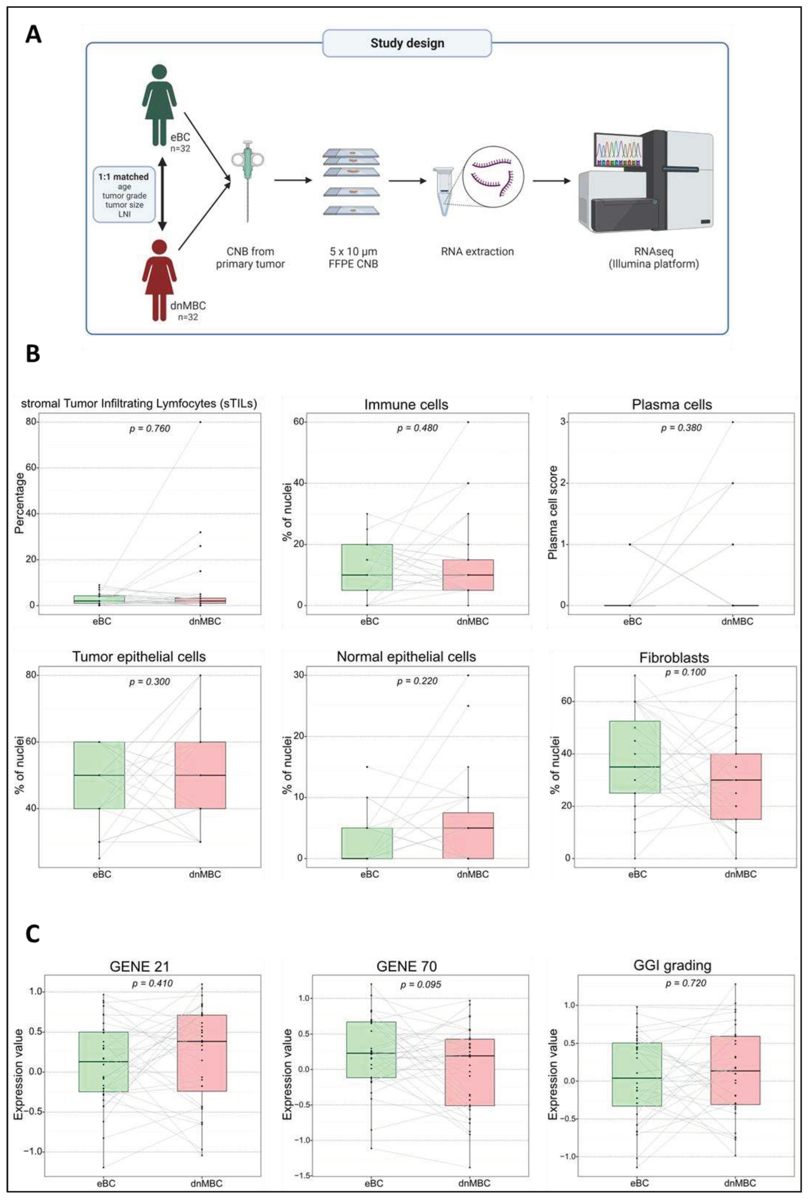 Preprints 77656 g001