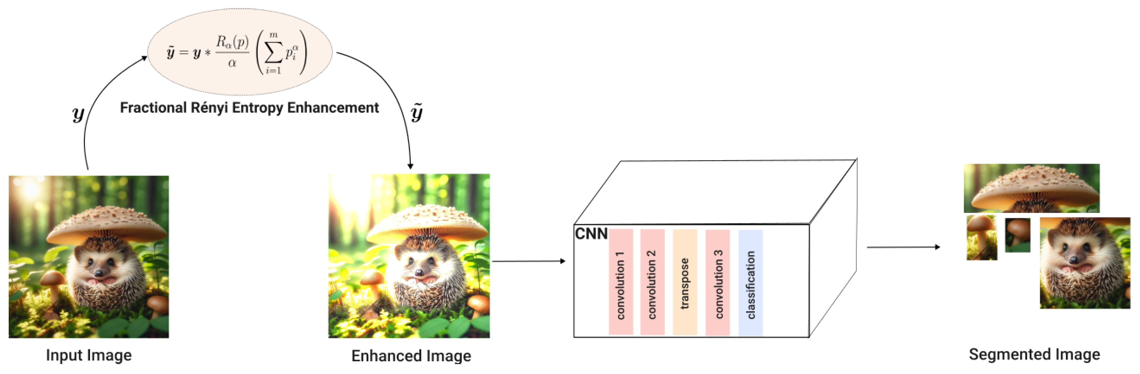 Preprints 111157 g005