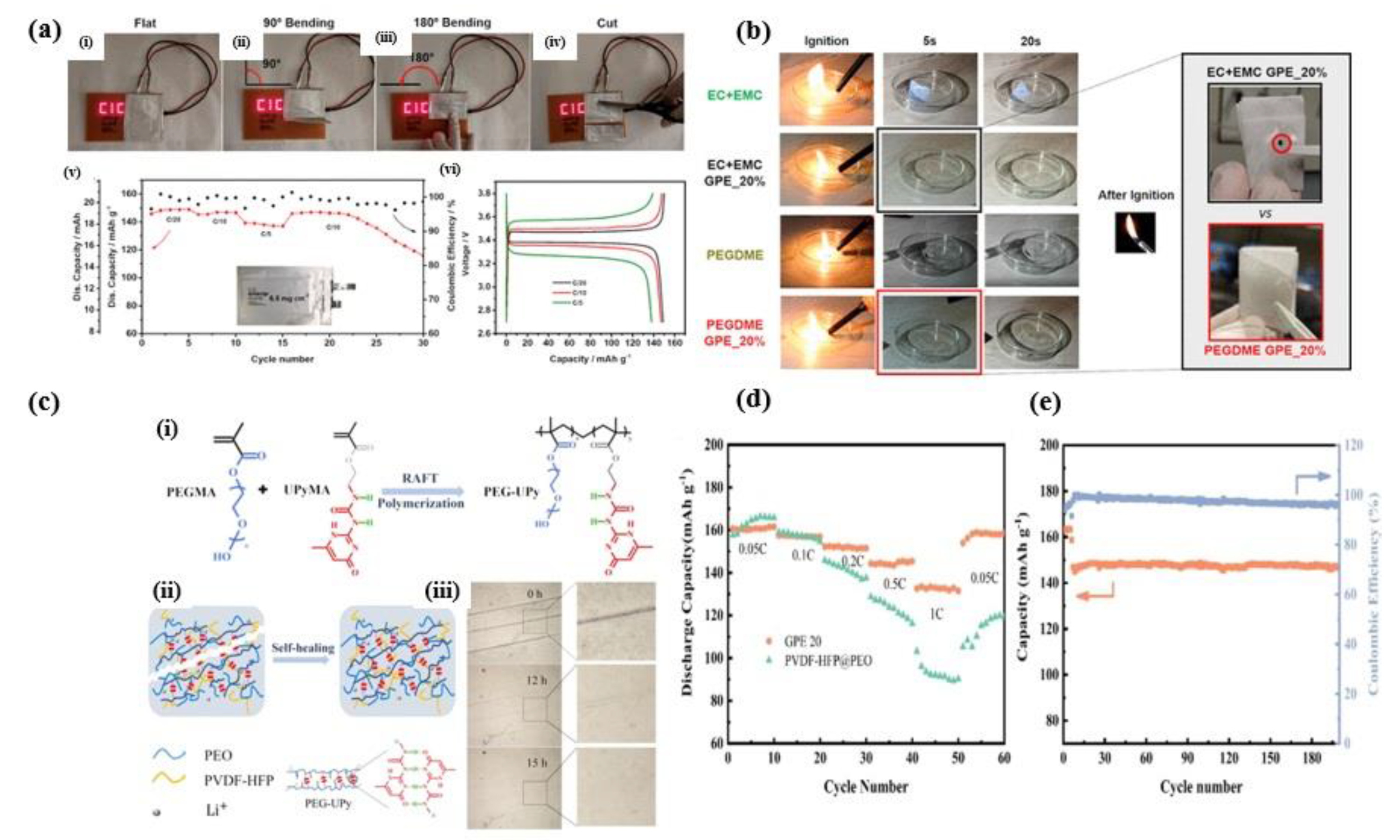 Preprints 114300 g003