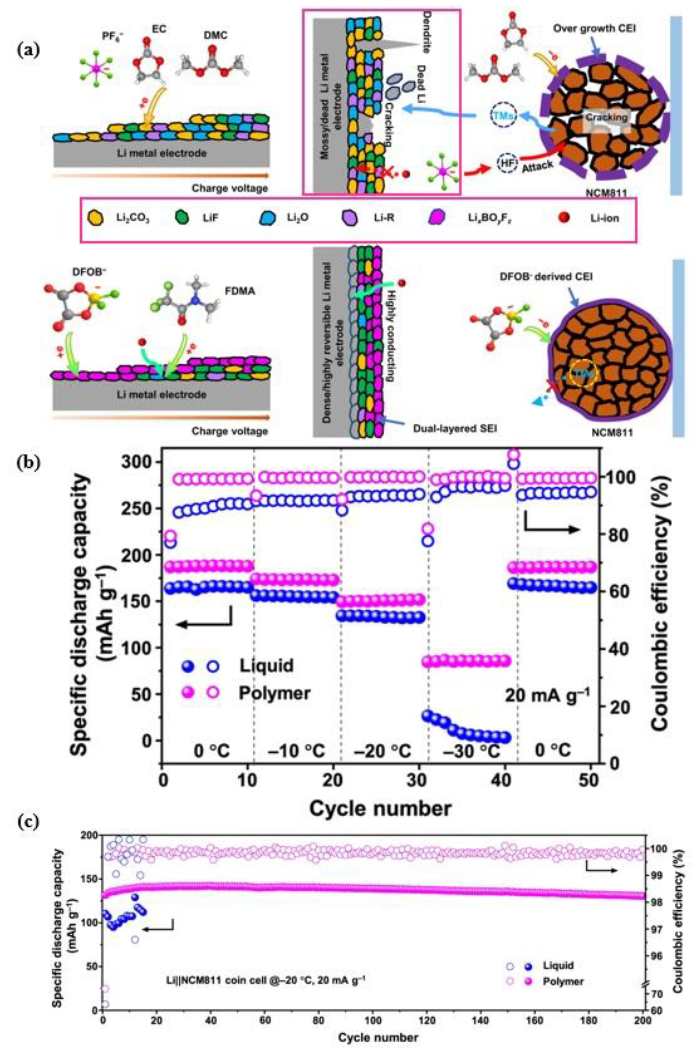 Preprints 114300 g009