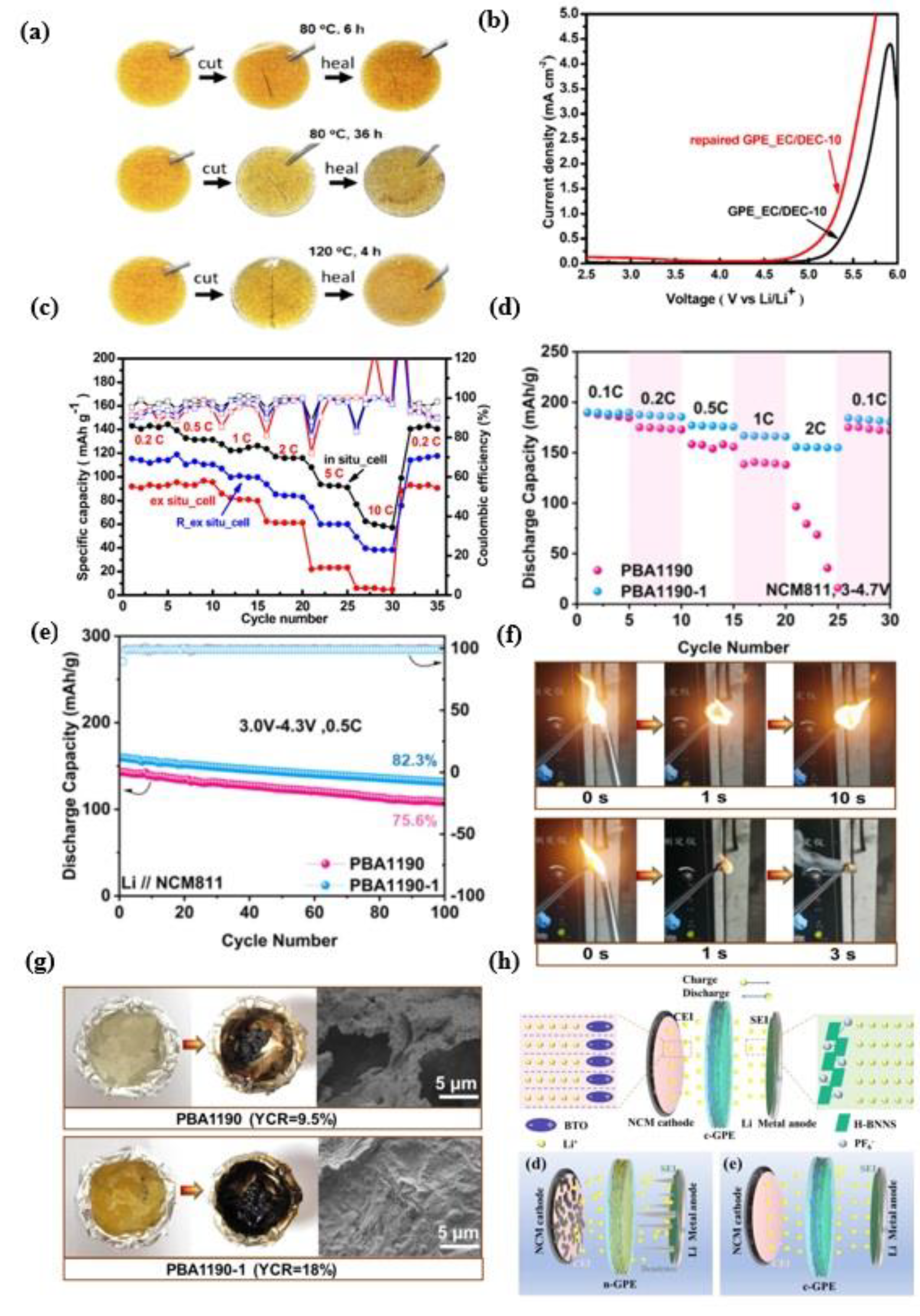 Preprints 114300 g011