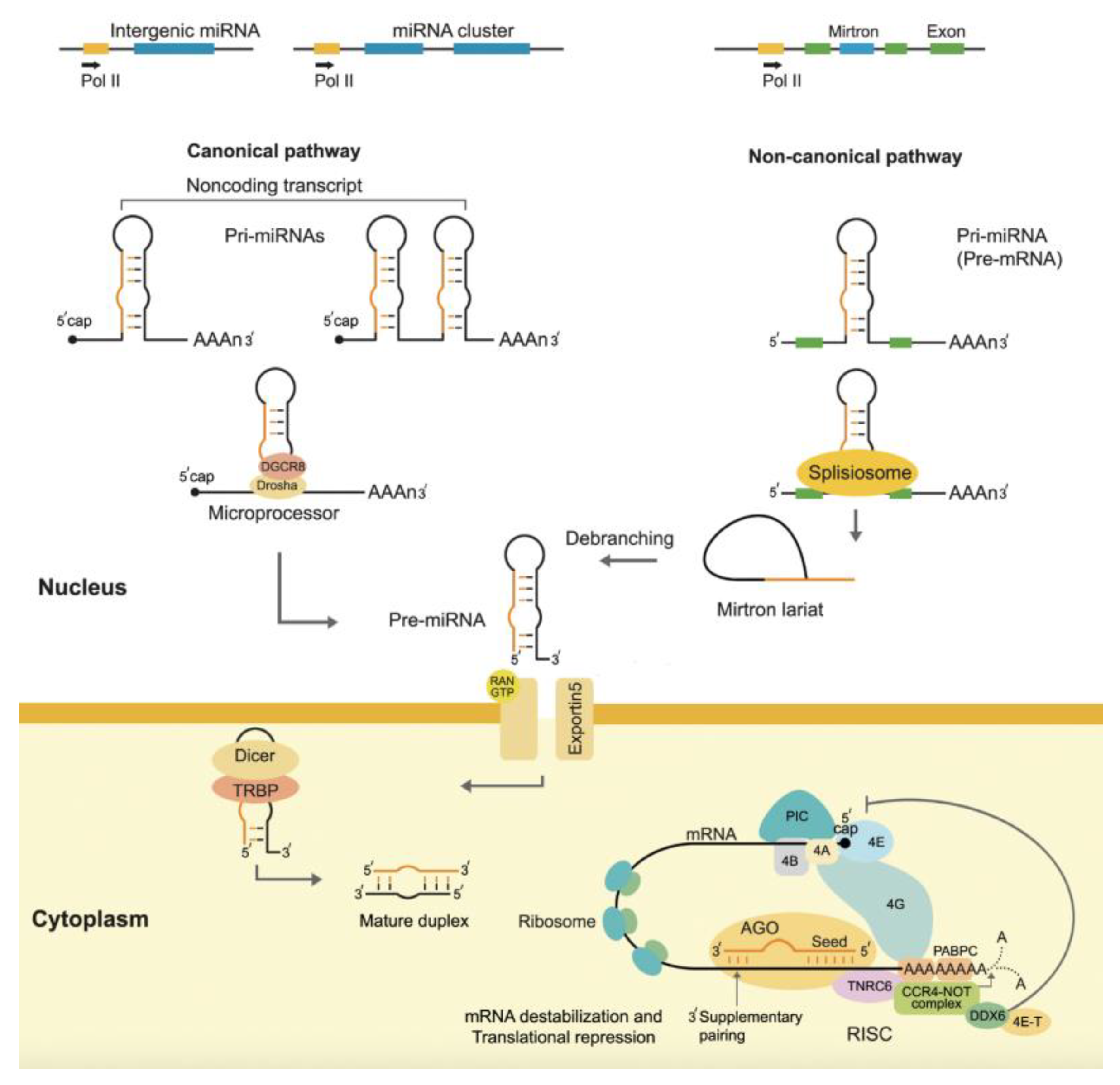 Preprints 122042 g002