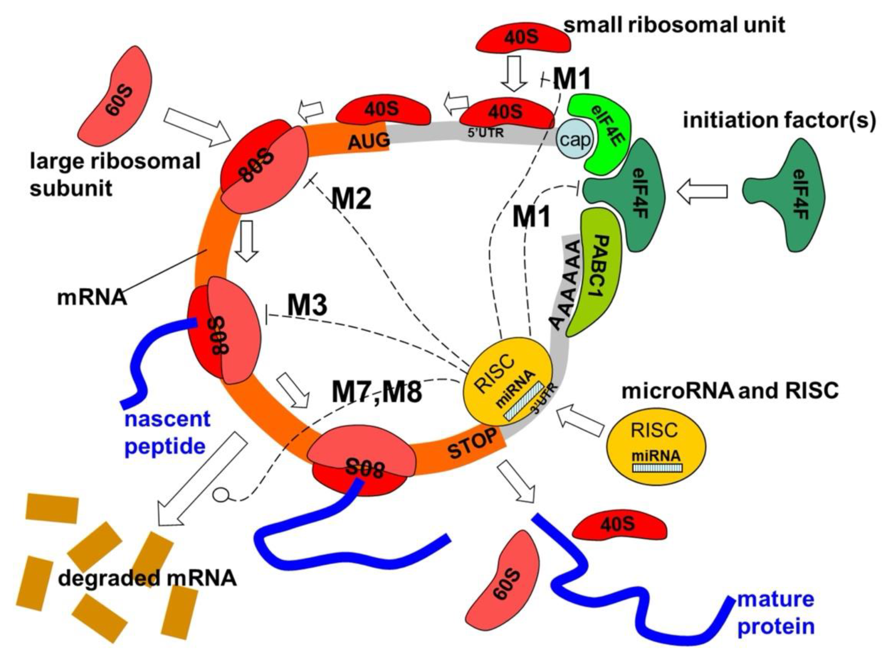 Preprints 122042 g003