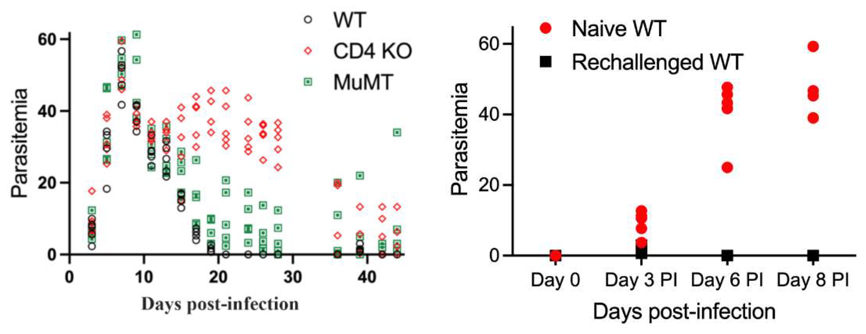 Preprints 92661 g002a