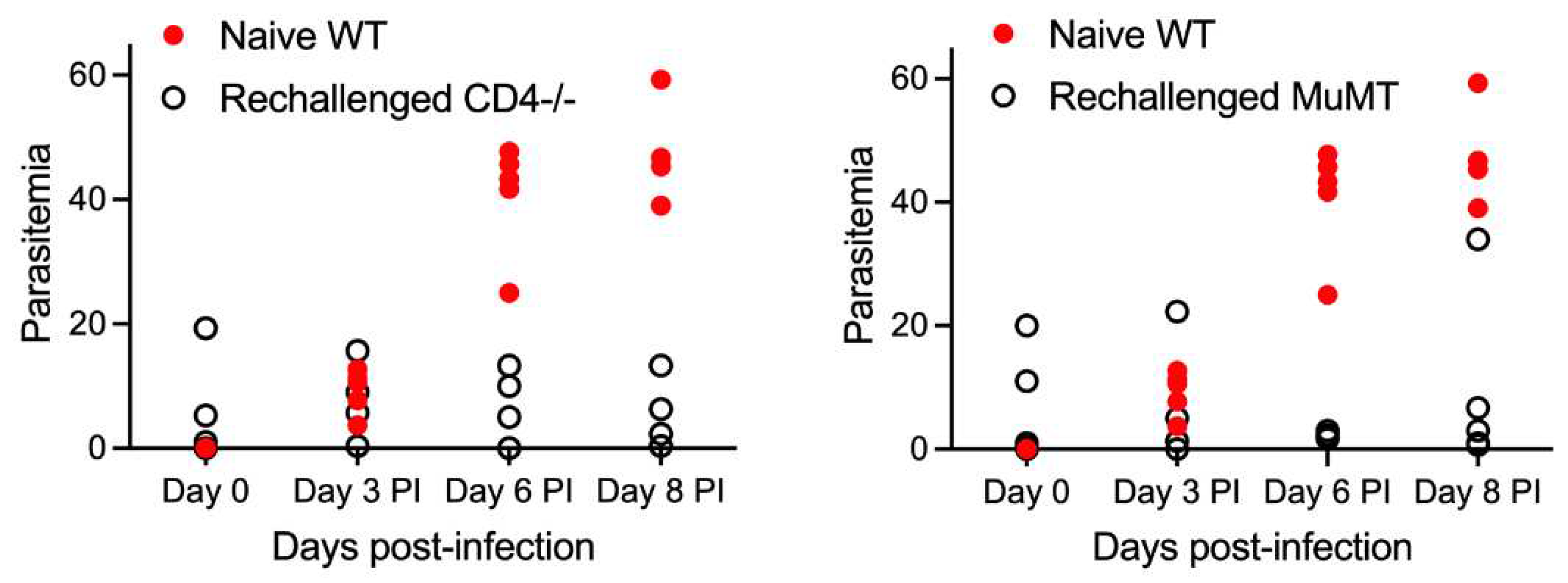 Preprints 92661 g002b