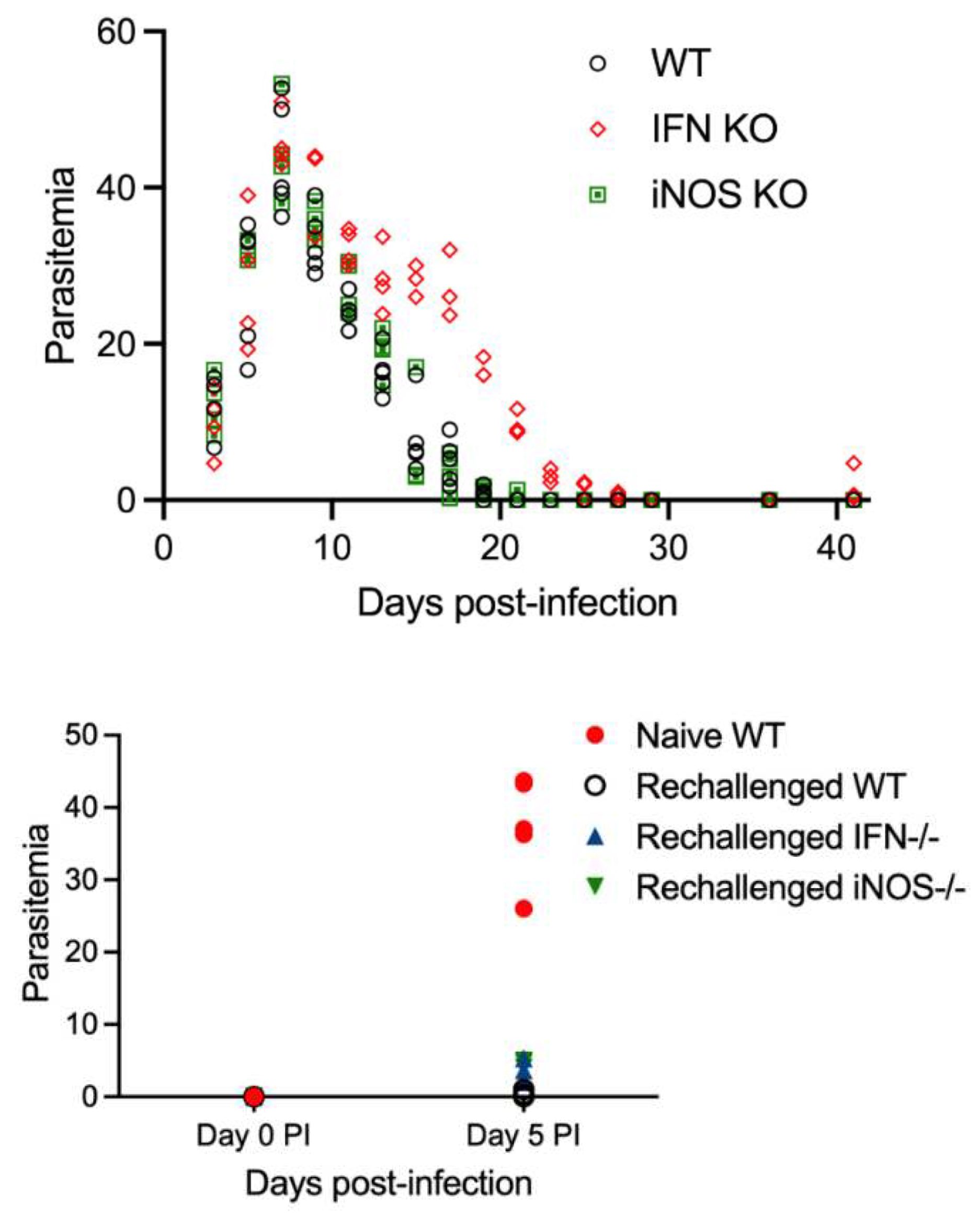 Preprints 92661 g003