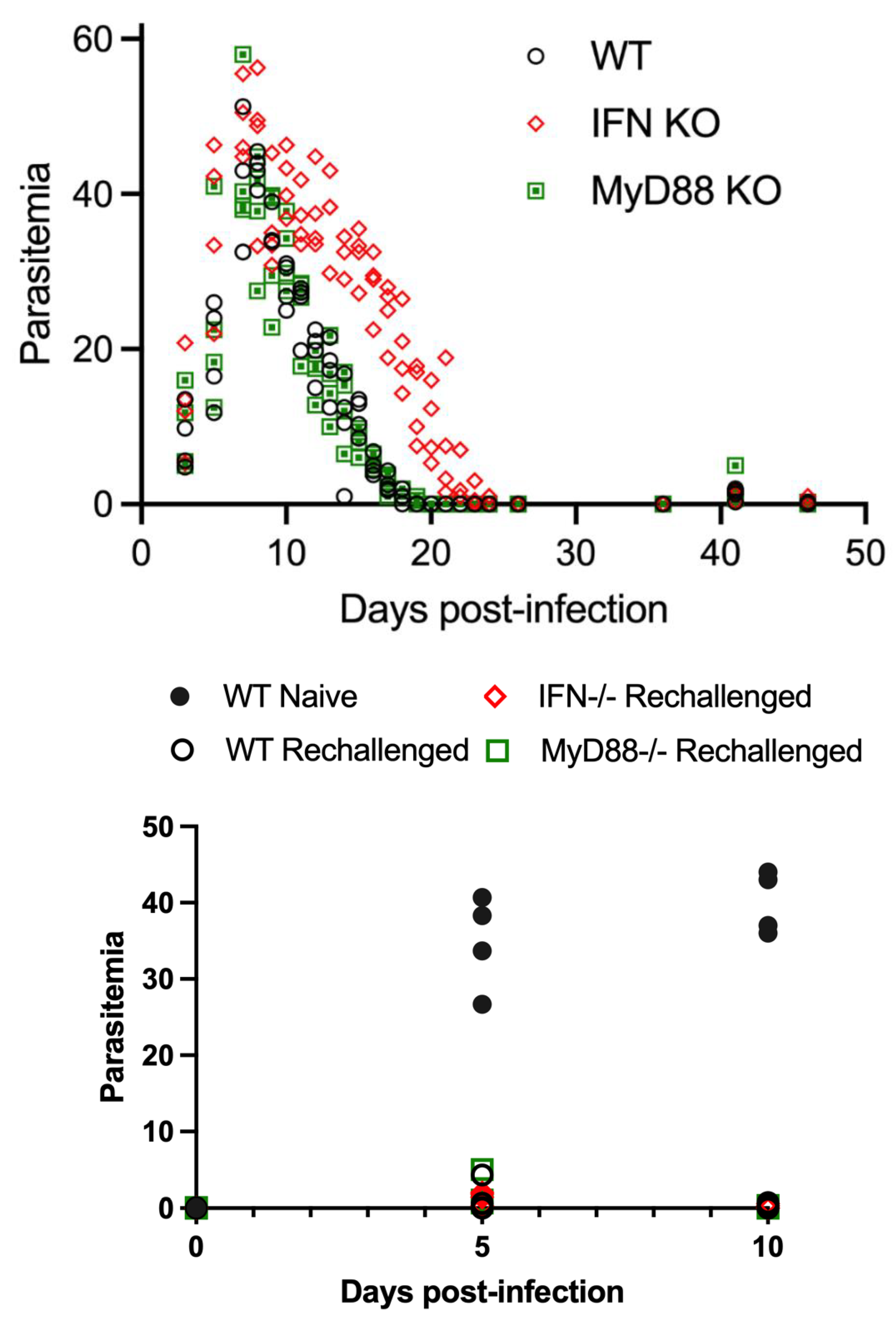 Preprints 92661 g004