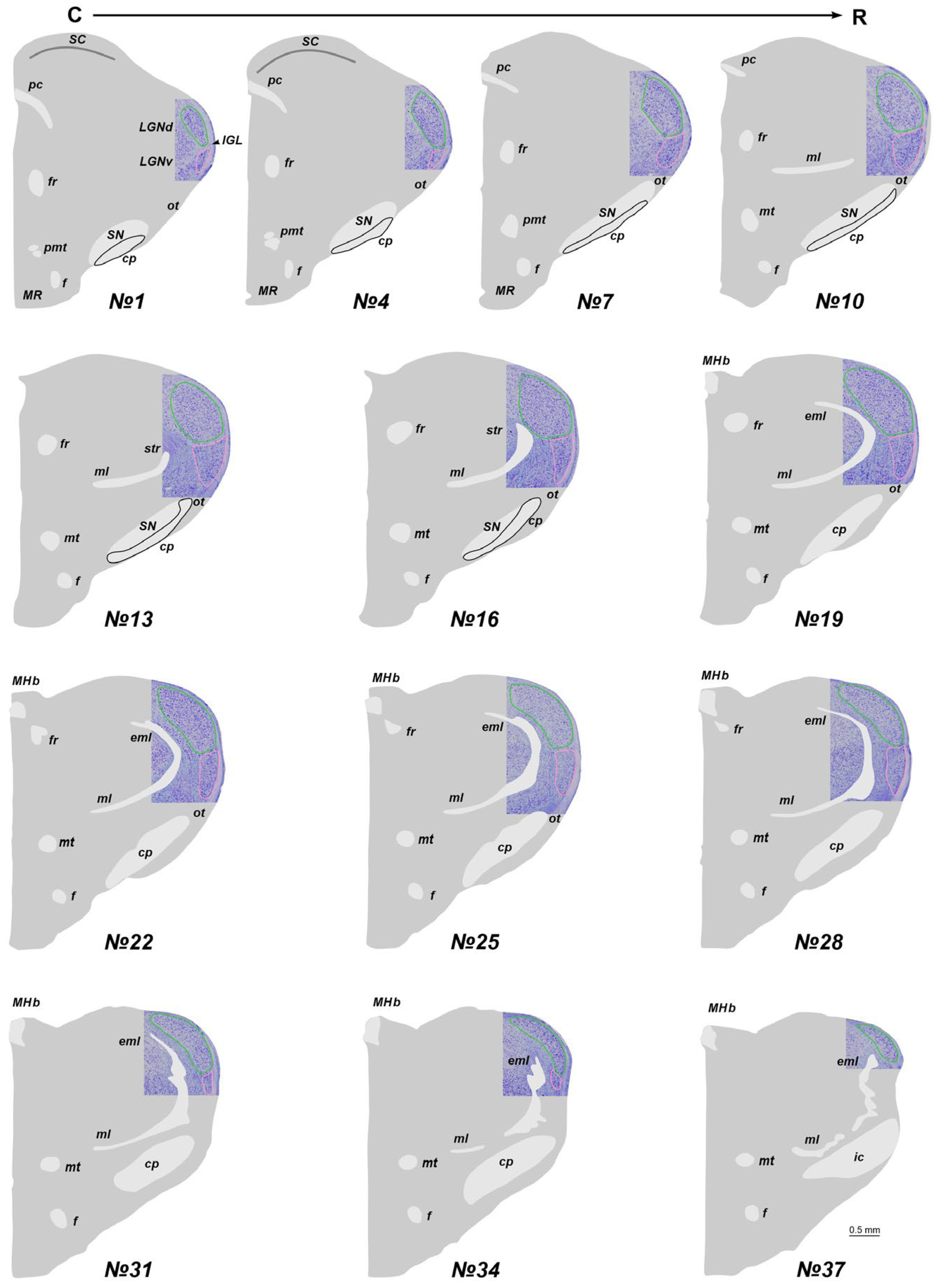 Preprints 111442 g001