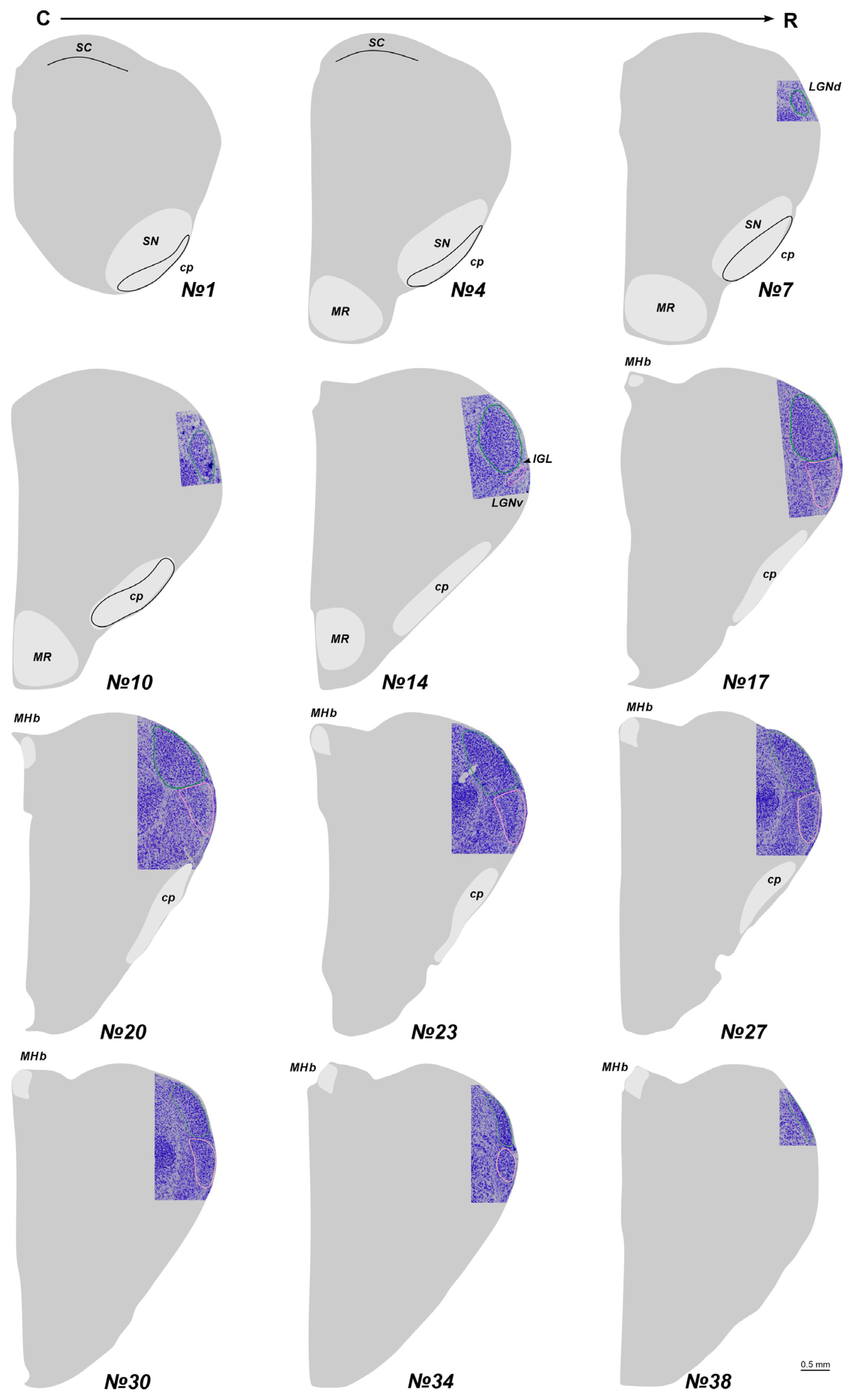 Preprints 111442 g002