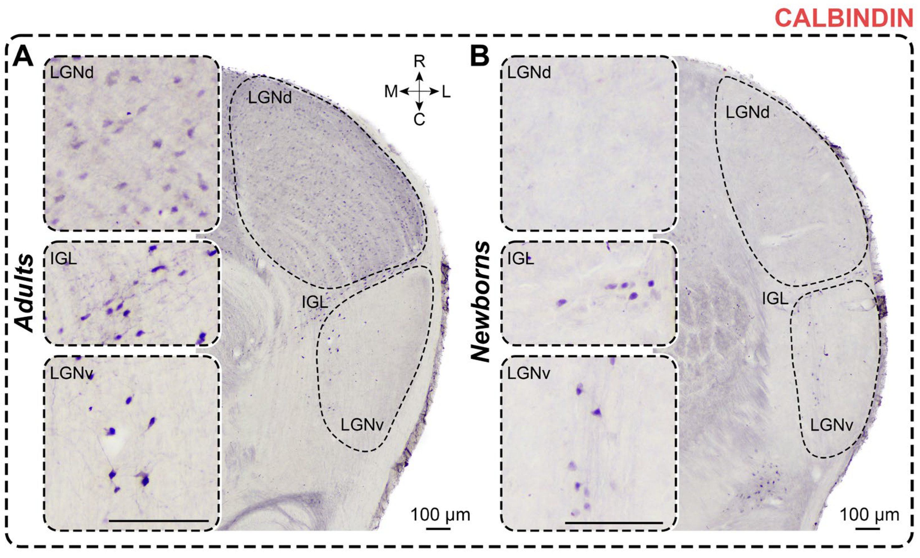 Preprints 111442 g004