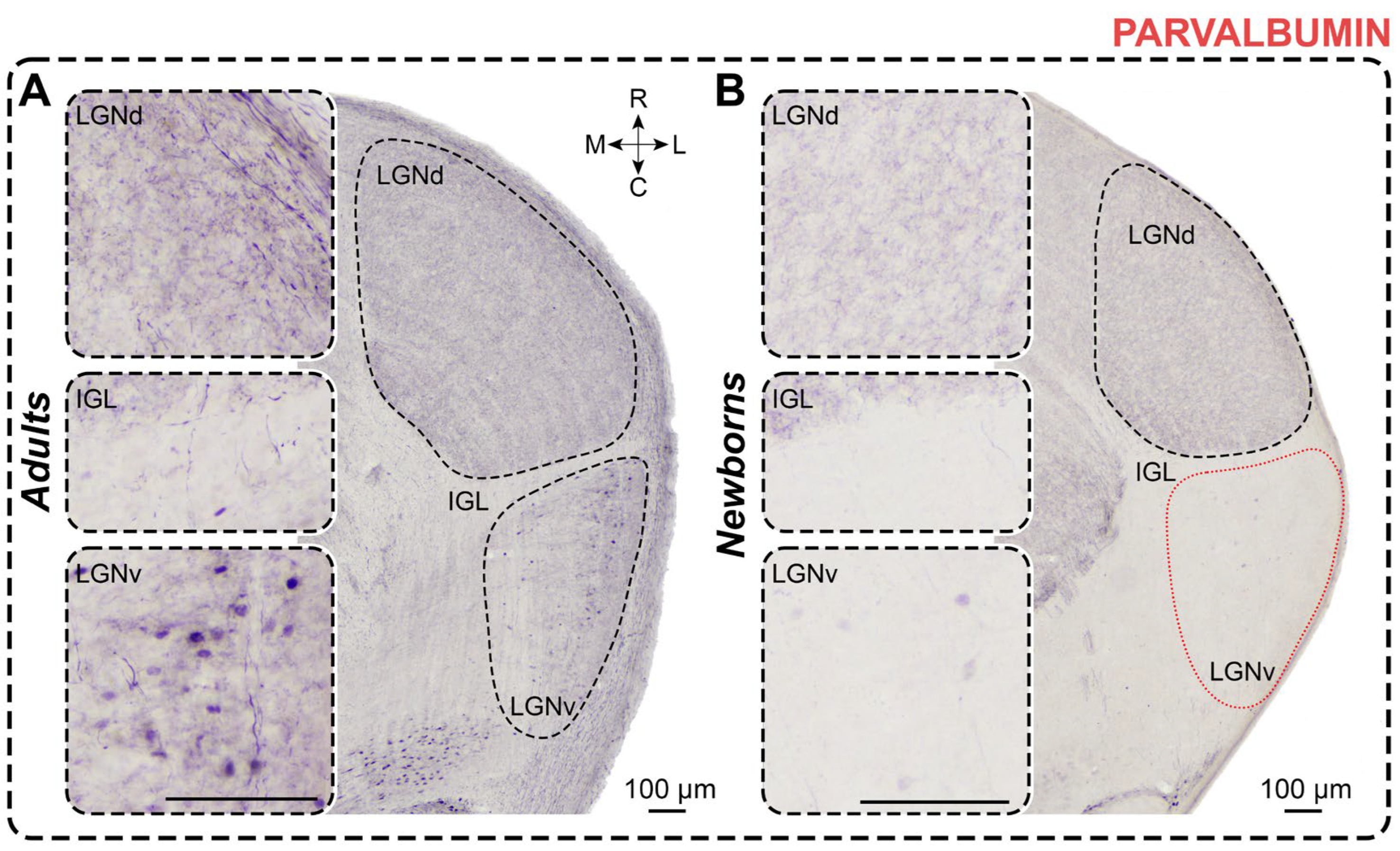 Preprints 111442 g006