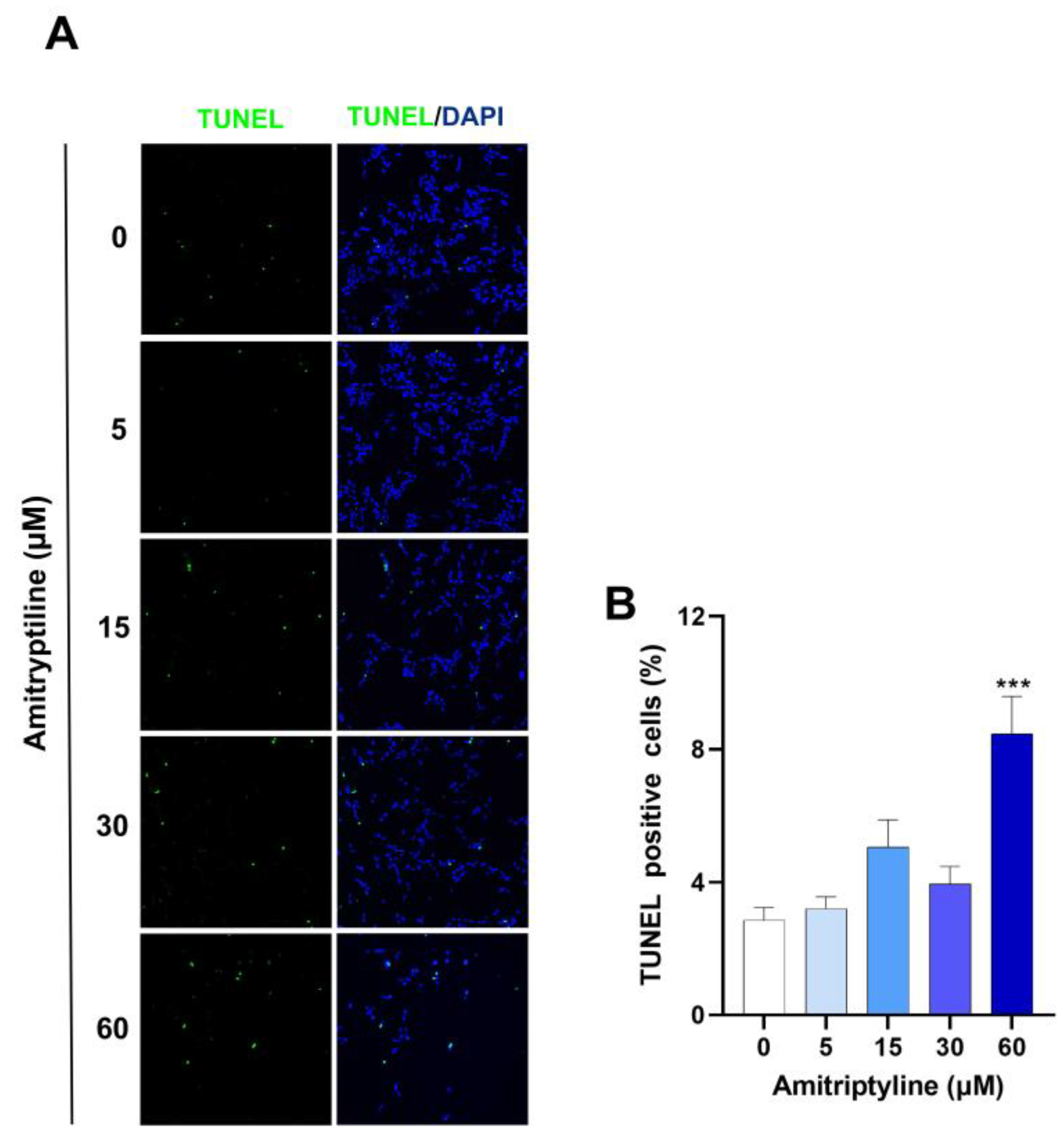 Preprints 106501 g002