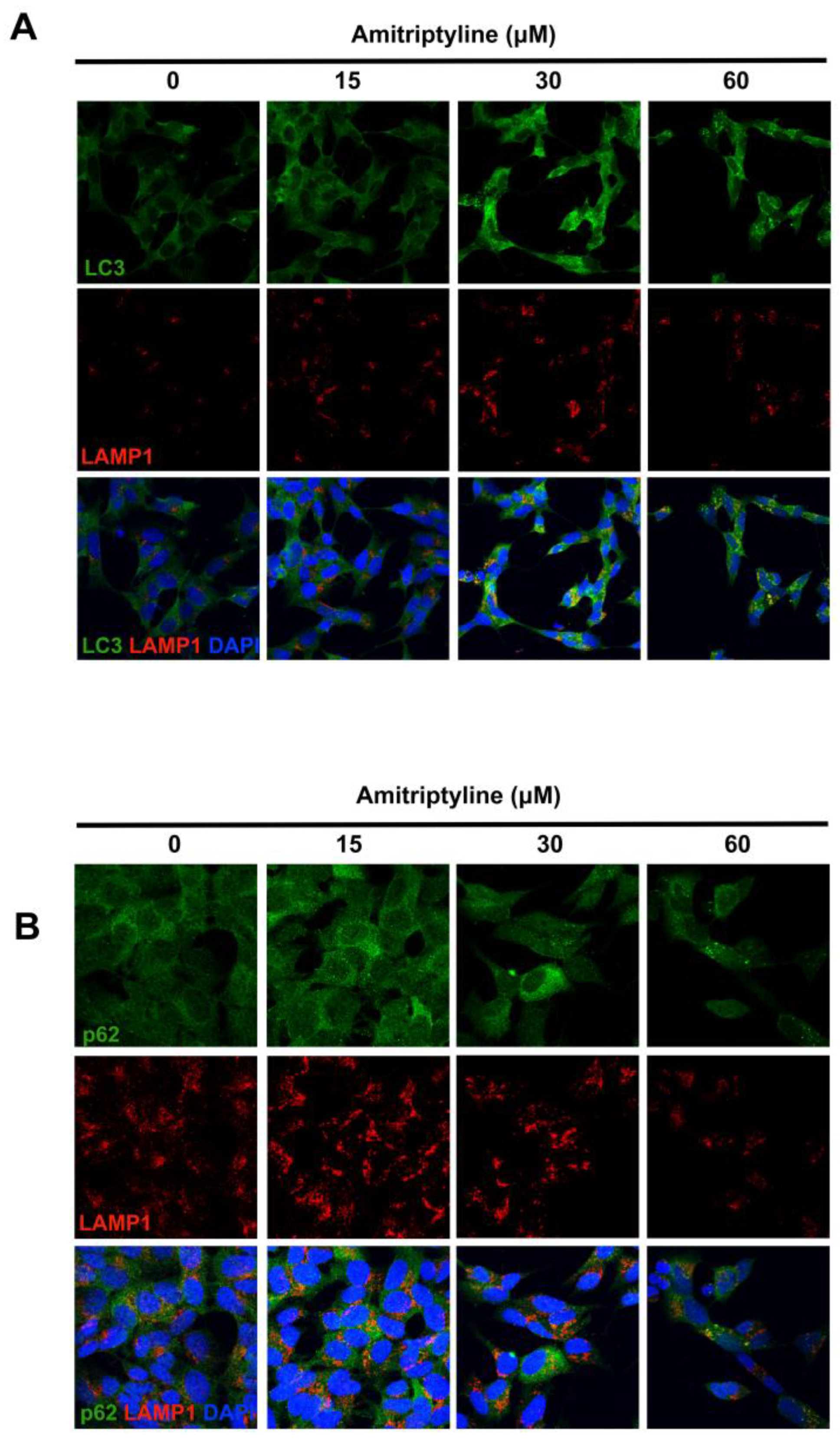 Preprints 106501 g004