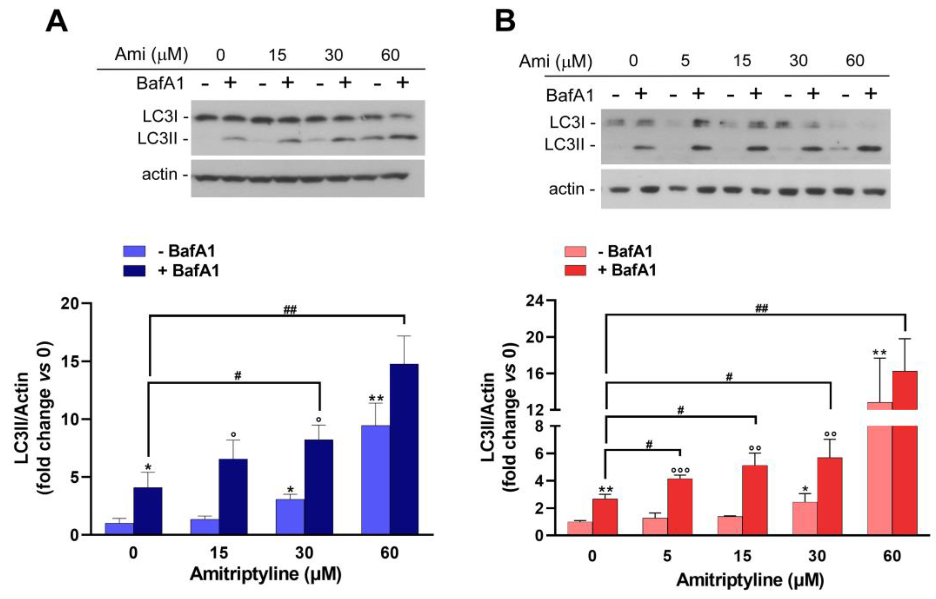 Preprints 106501 g006