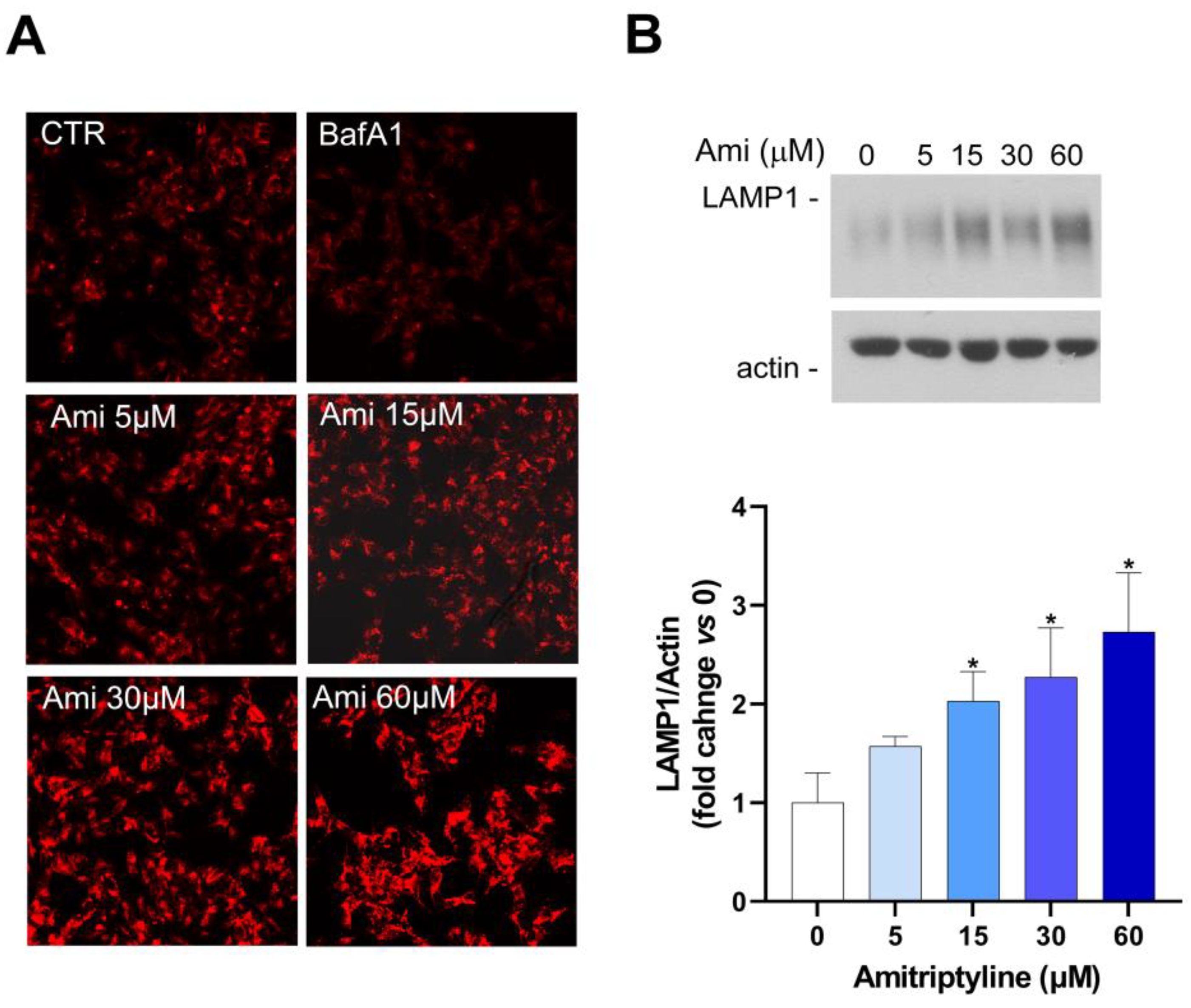 Preprints 106501 g007