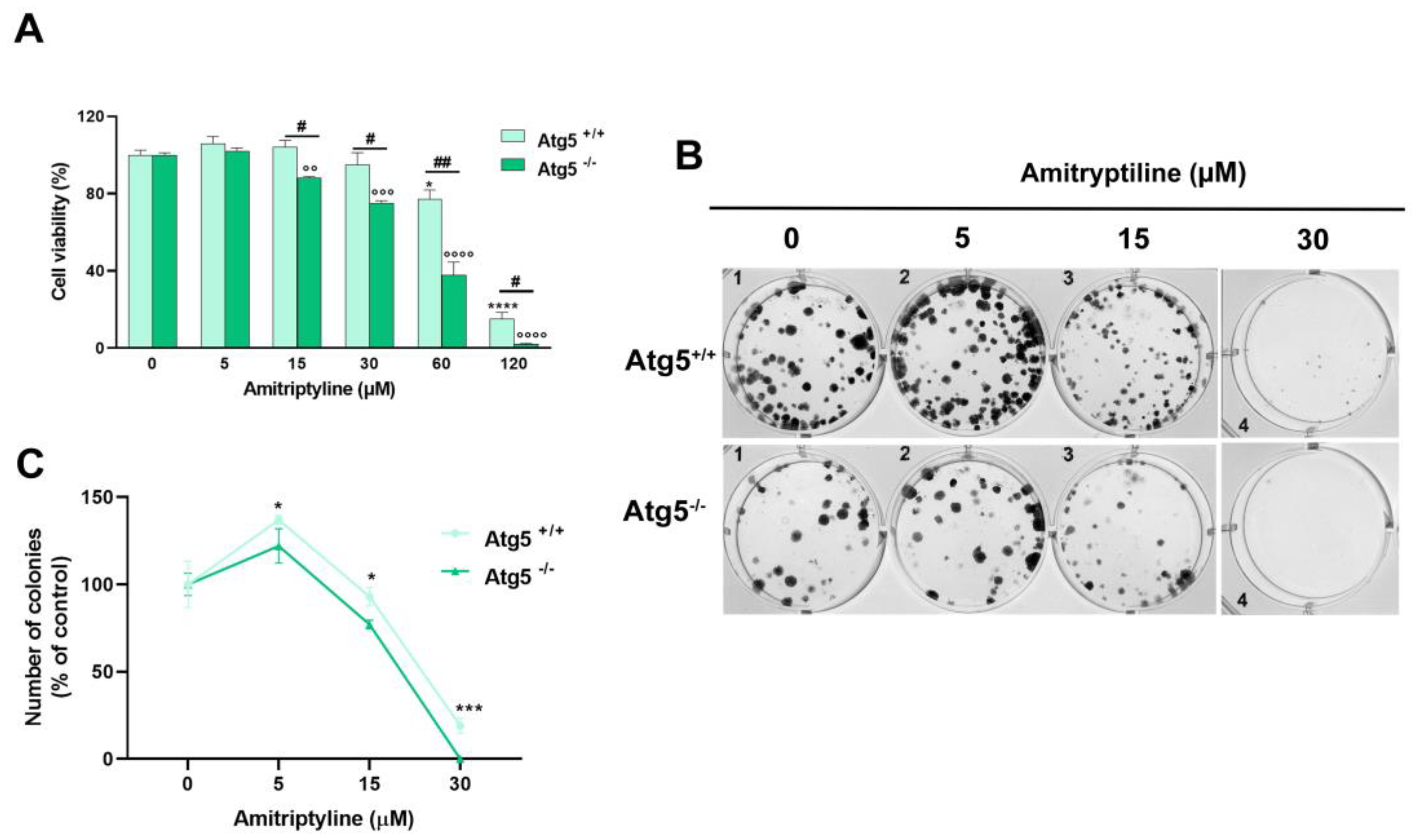 Preprints 106501 g009