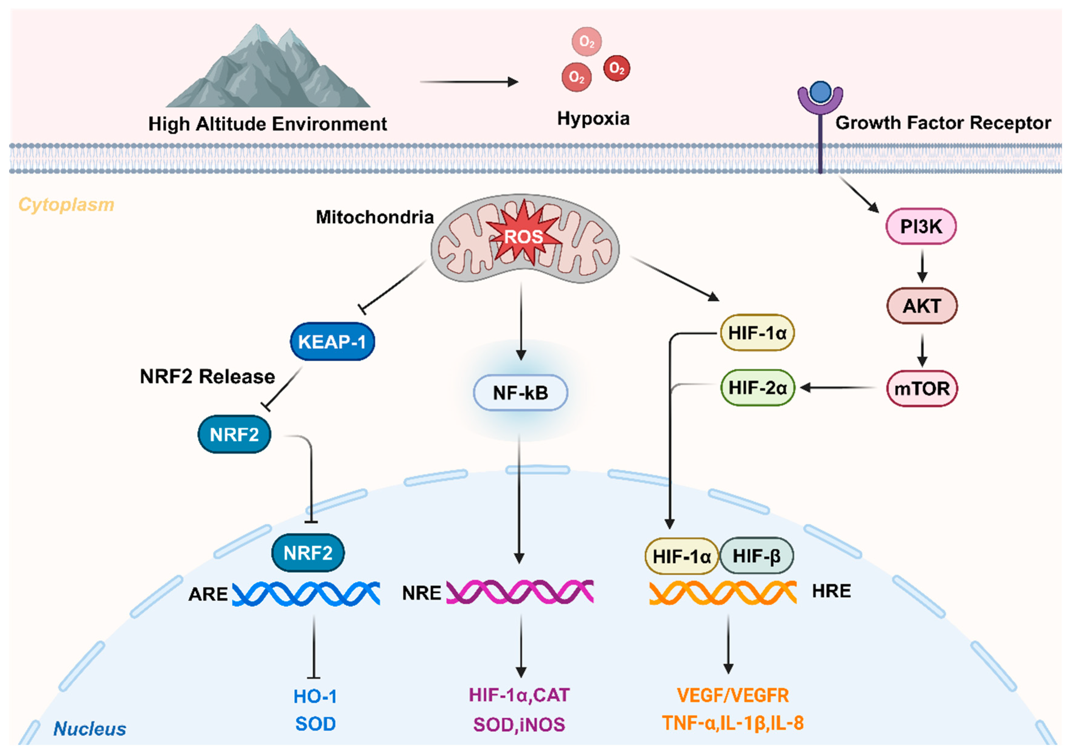 Preprints 119908 g001